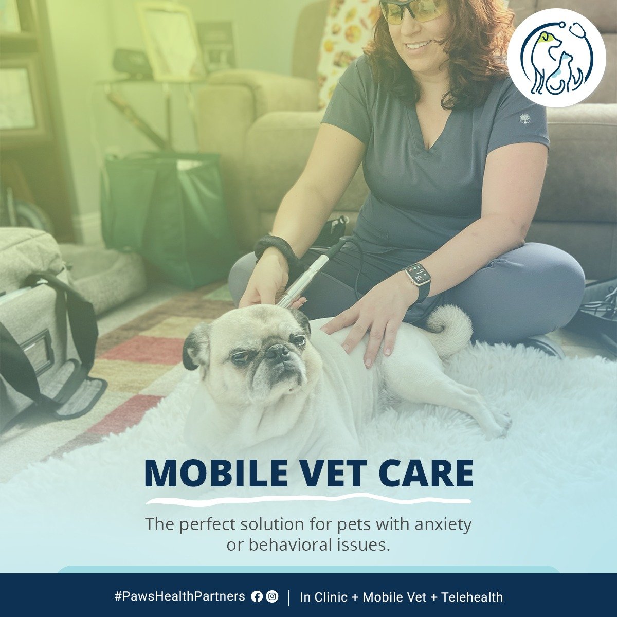 Our Mobile Veterinarian comes to you!