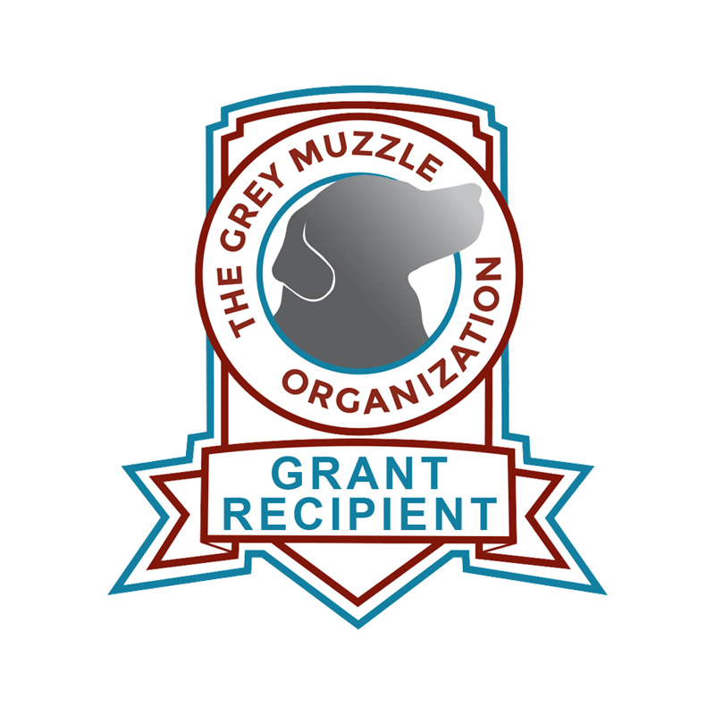 Grey Muzzle Grant - Senior Assistance