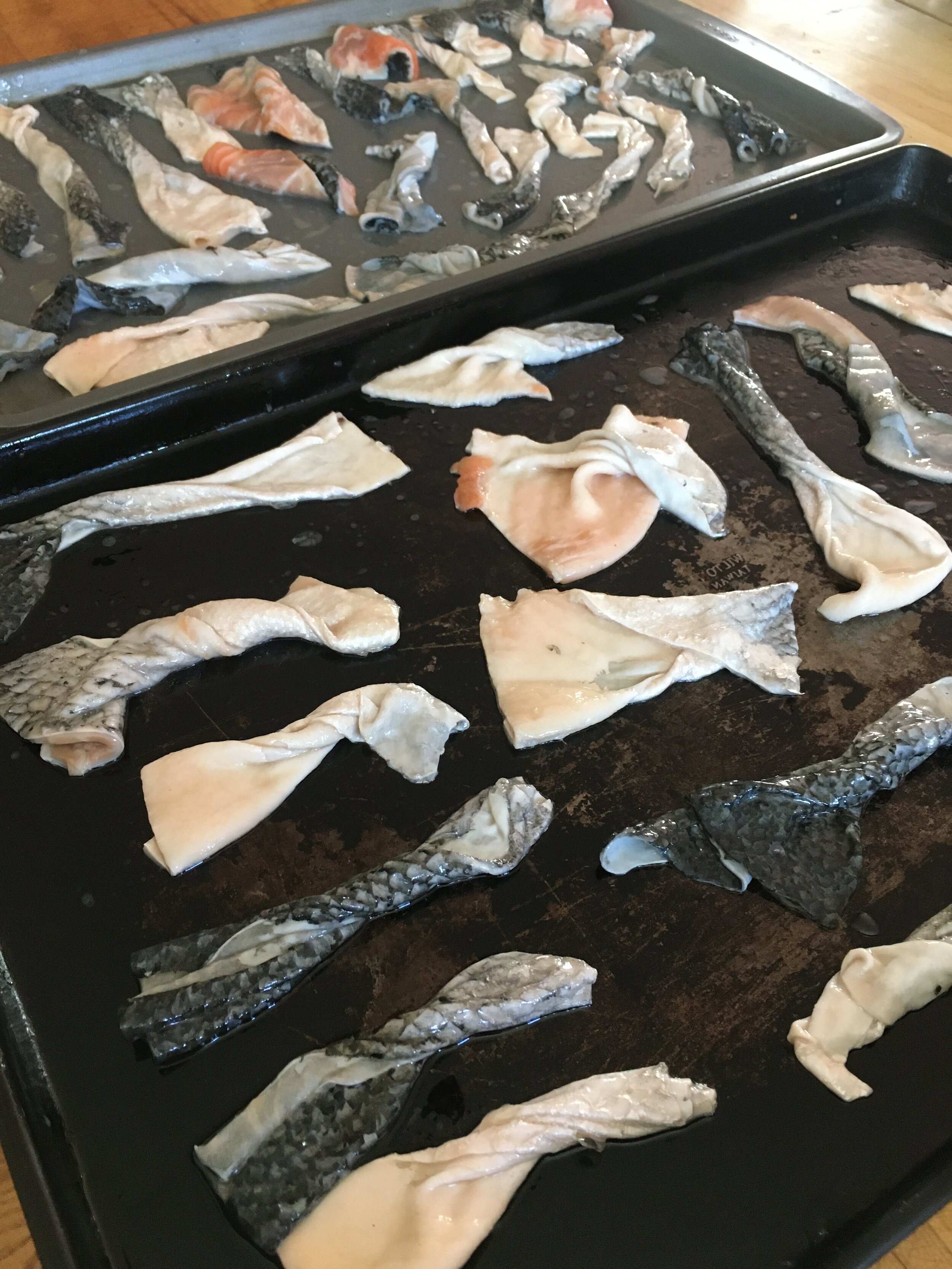 Dehydrating Meat & Fish