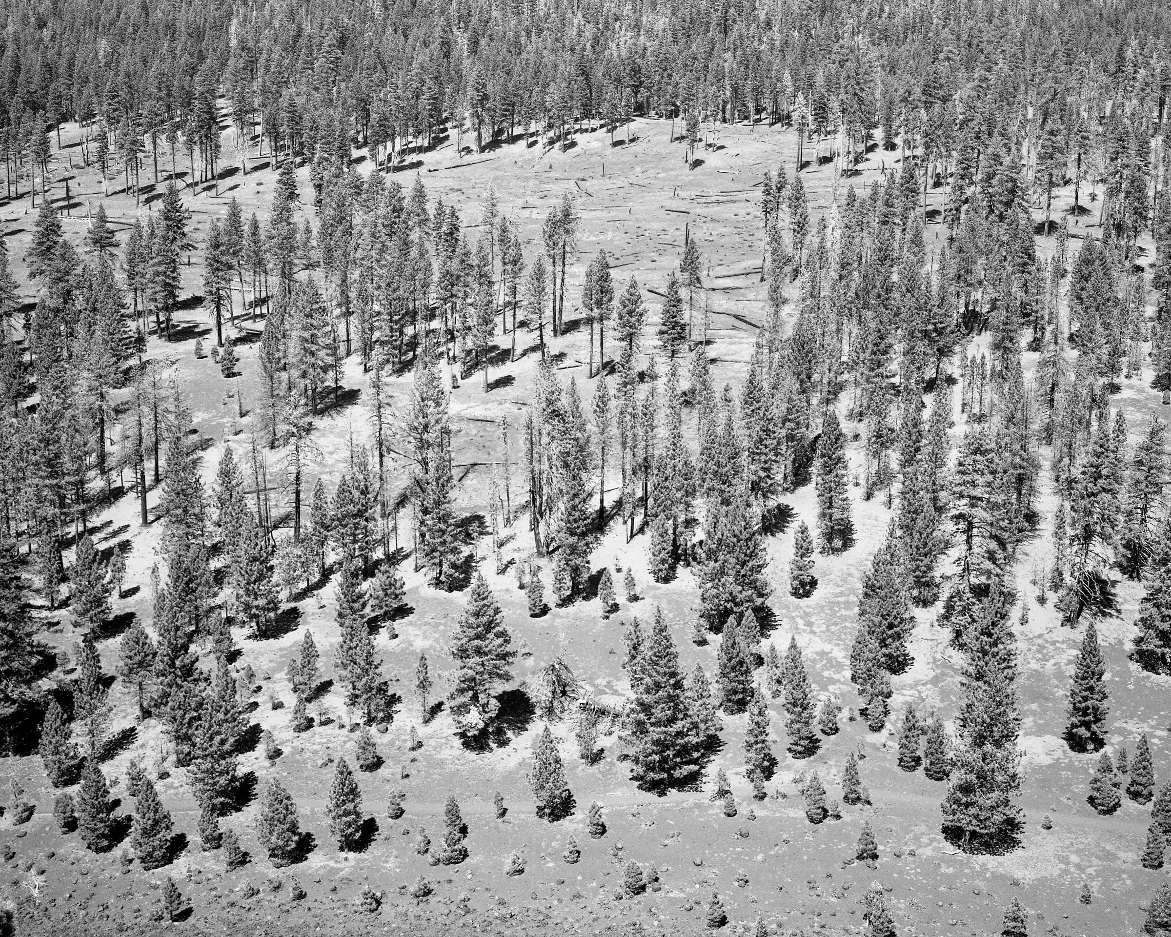 Lassen_2023_086.jpg