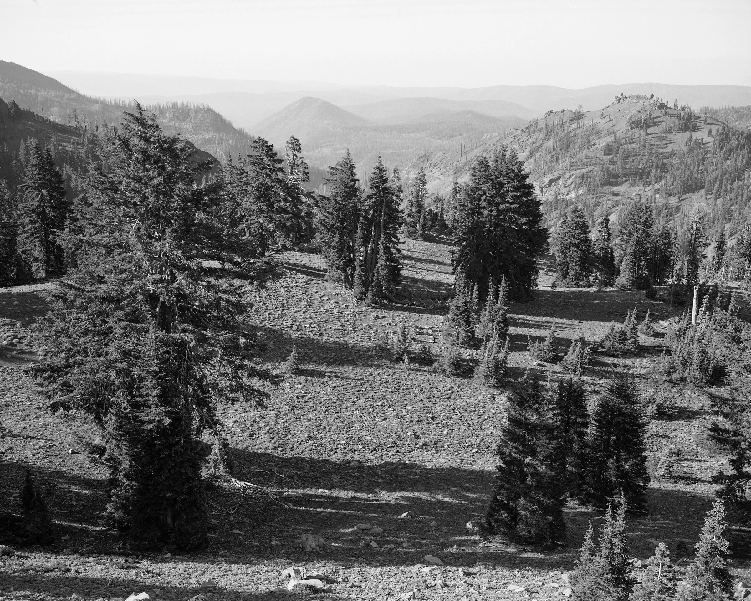 Lassen_2023_106.jpg