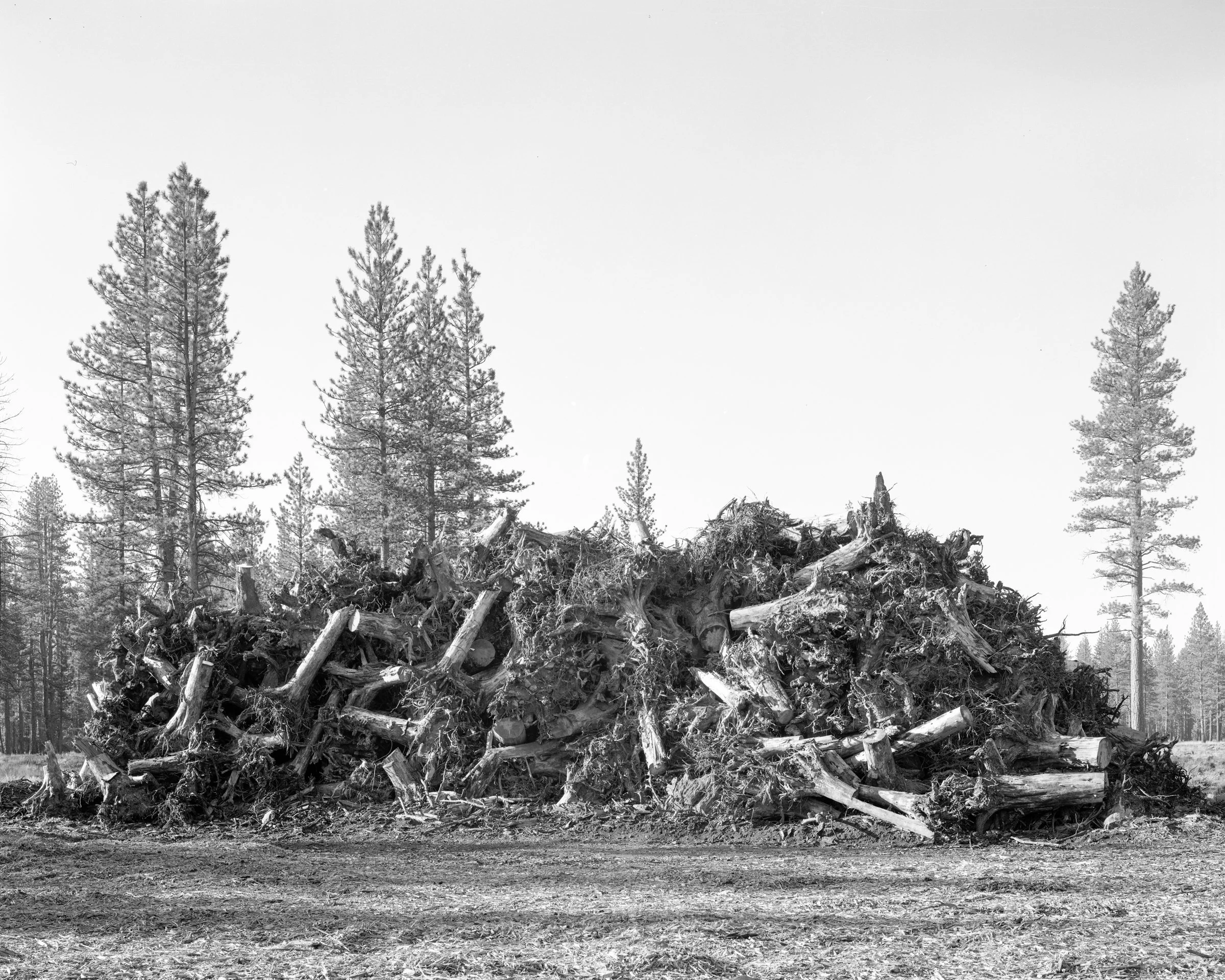 Lassen_2023_046.jpg