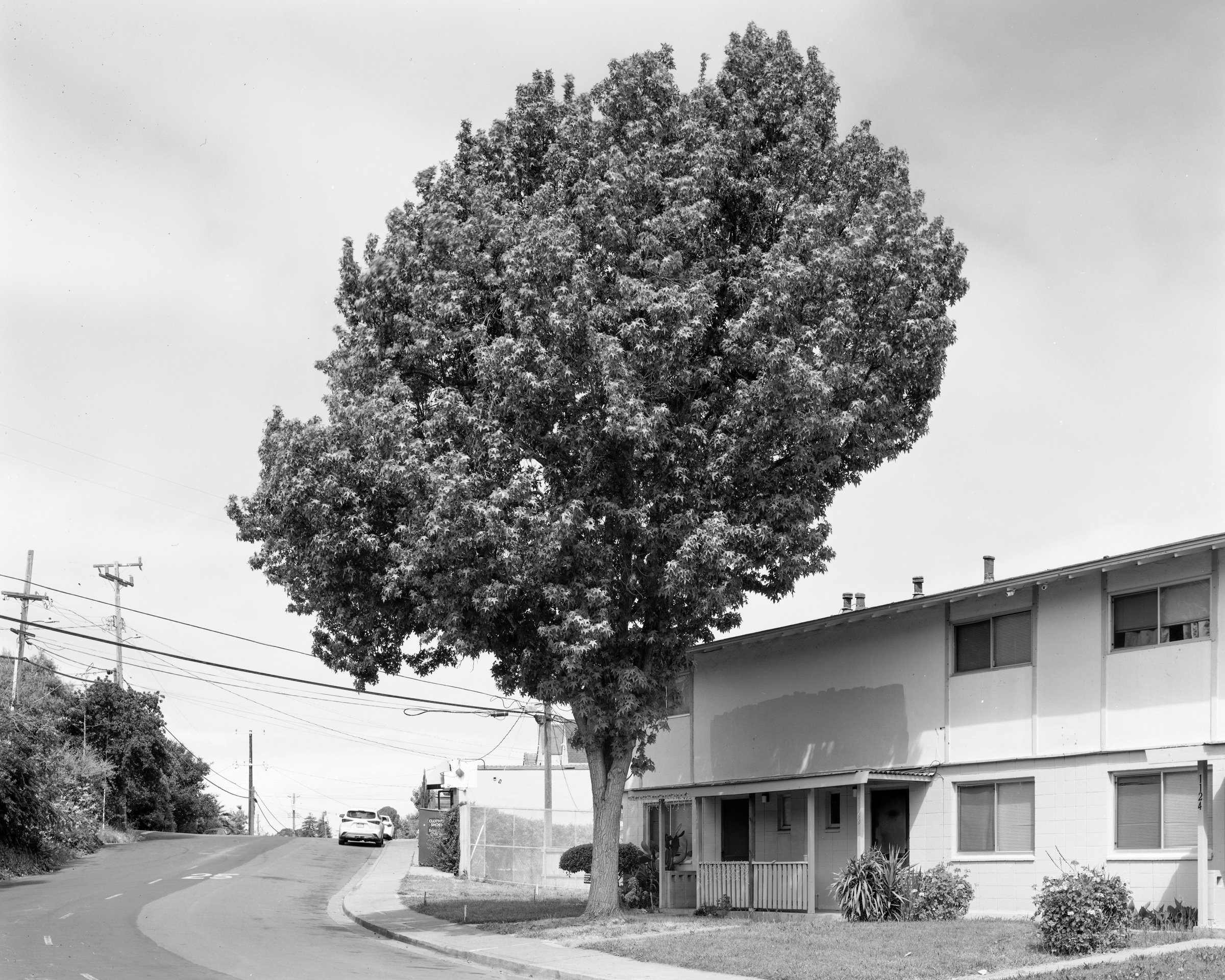 Rodeo, CA No. 002