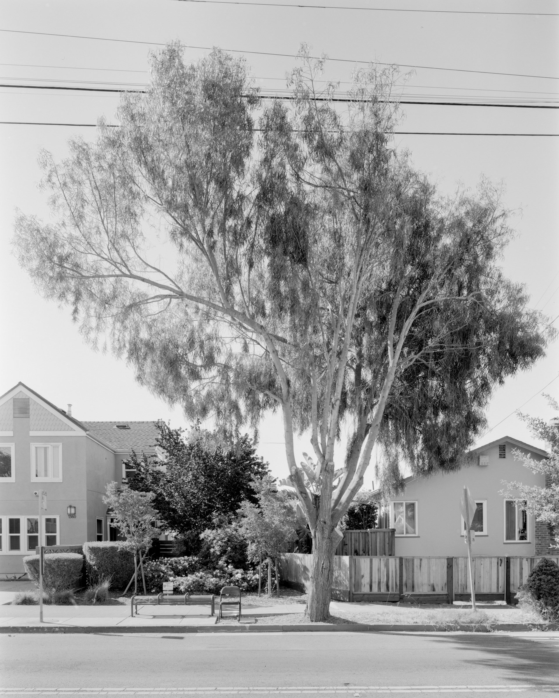 Berkeley, CA No. 002