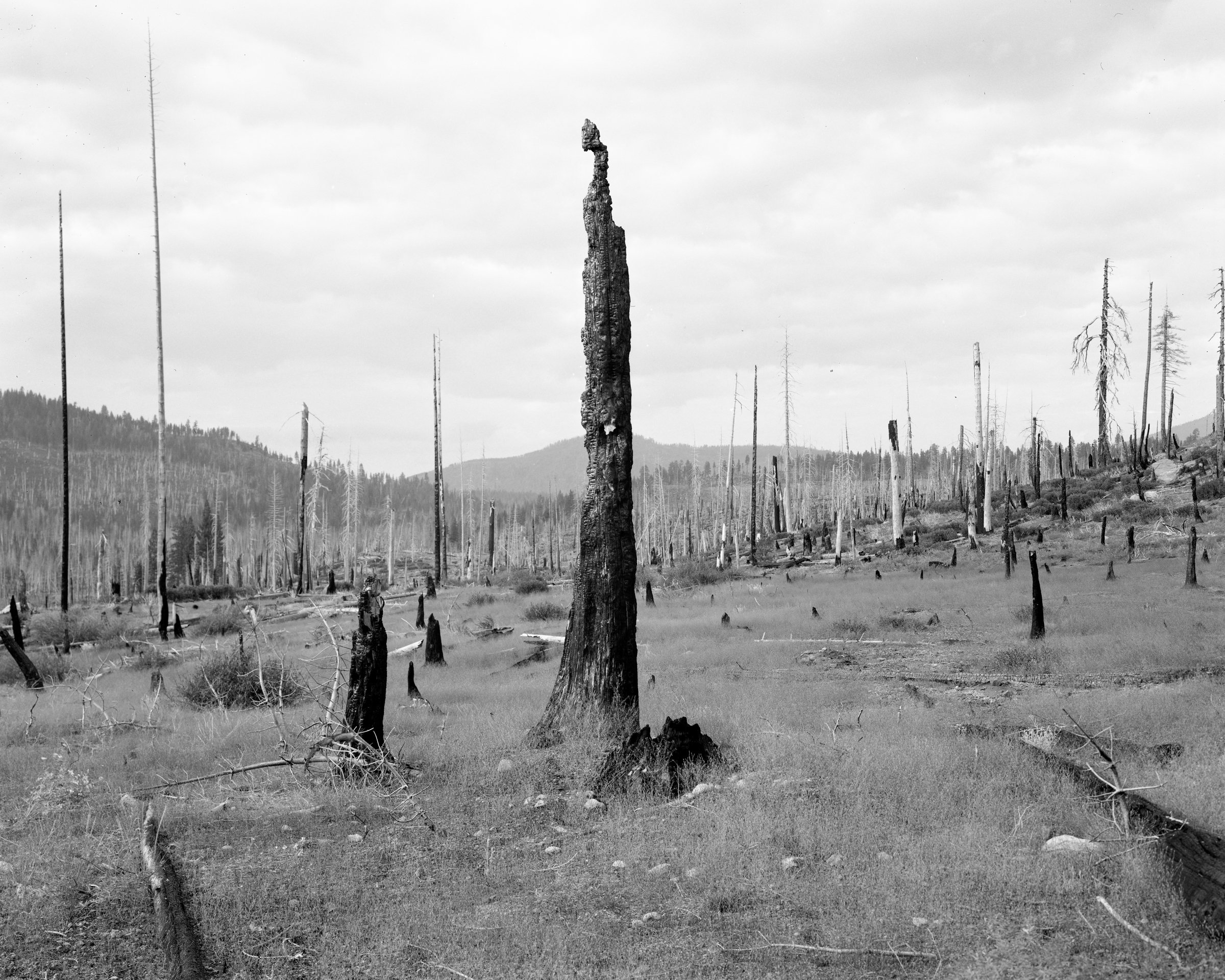 Lassen_2023_042.jpg