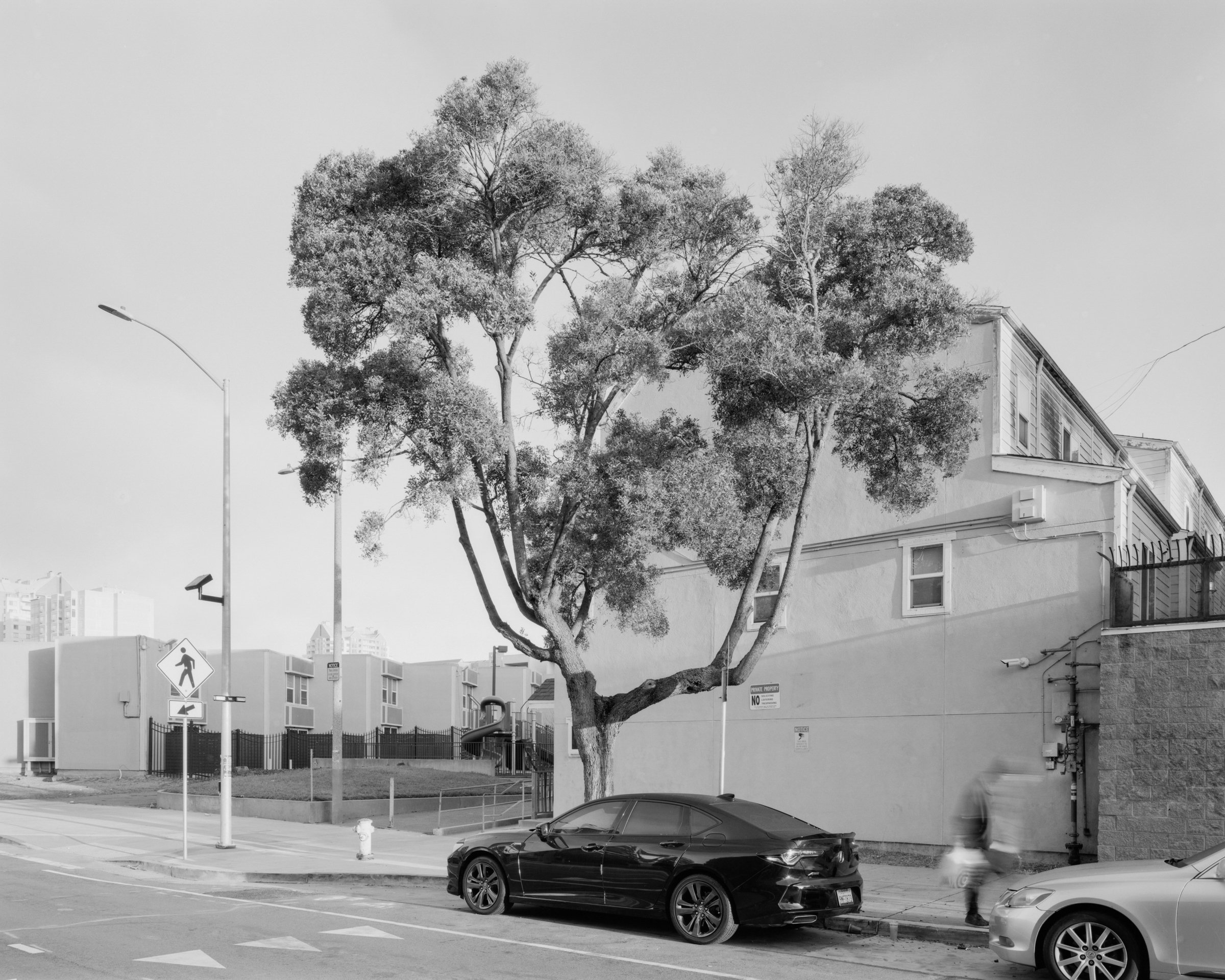 San Francisco, CA No. 155