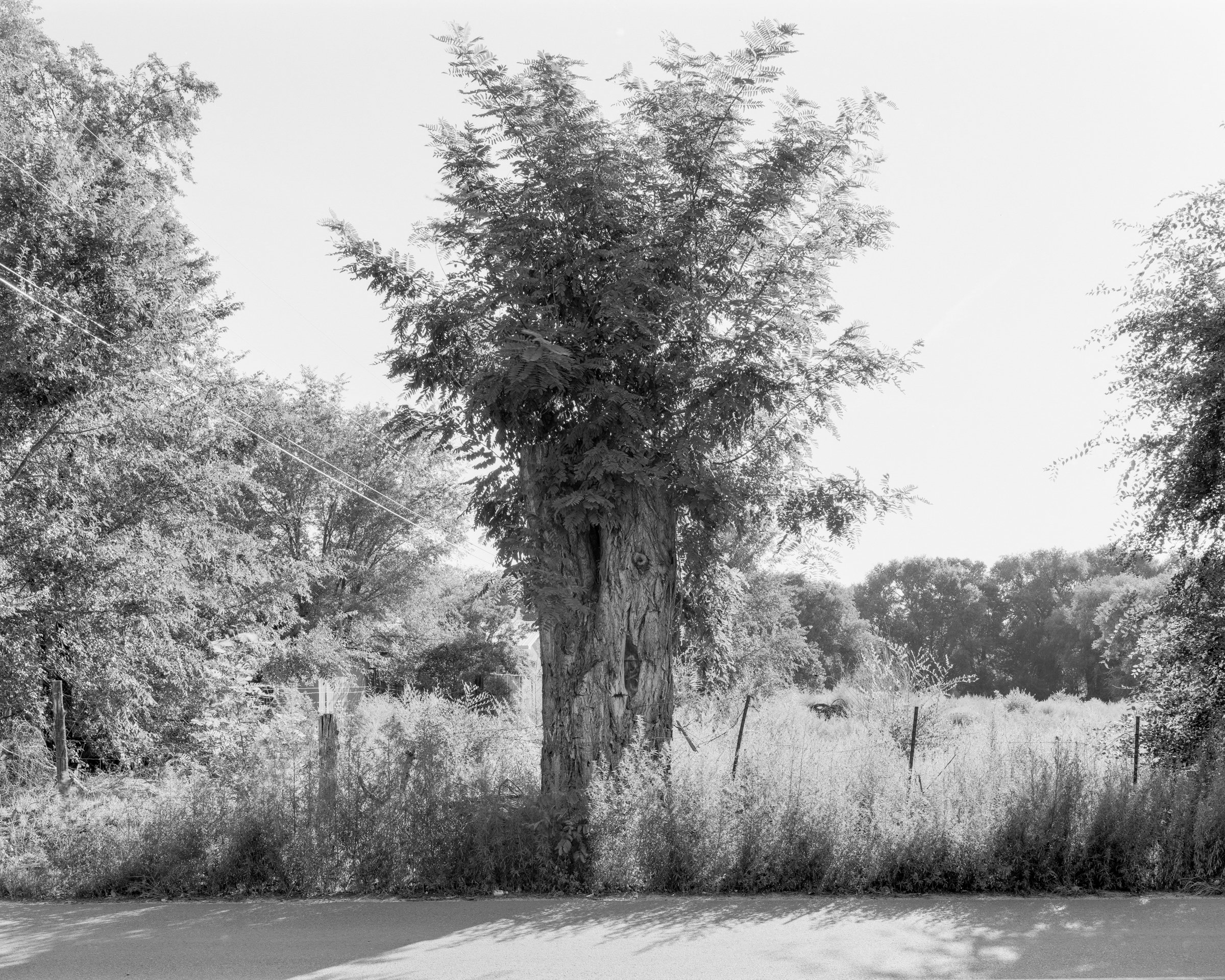 Española, NM No. 011