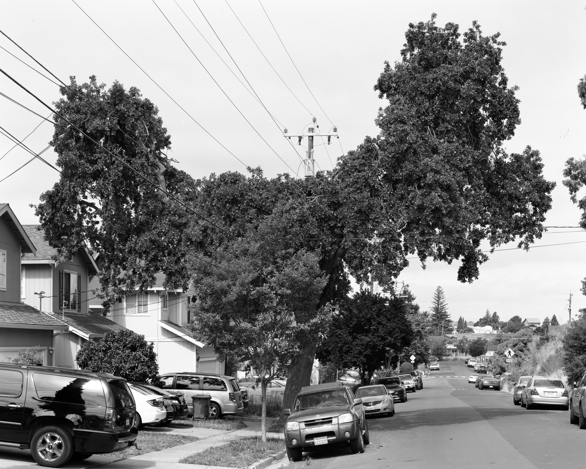 Rodeo, CA No. 004