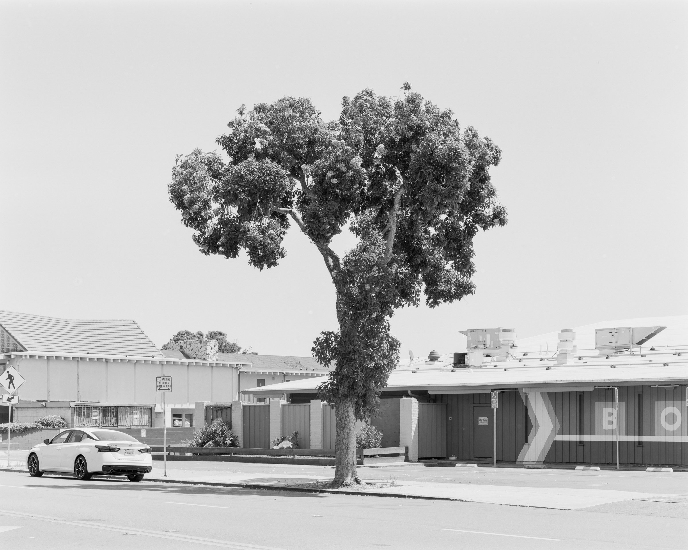 Alameda, CA No. 203
