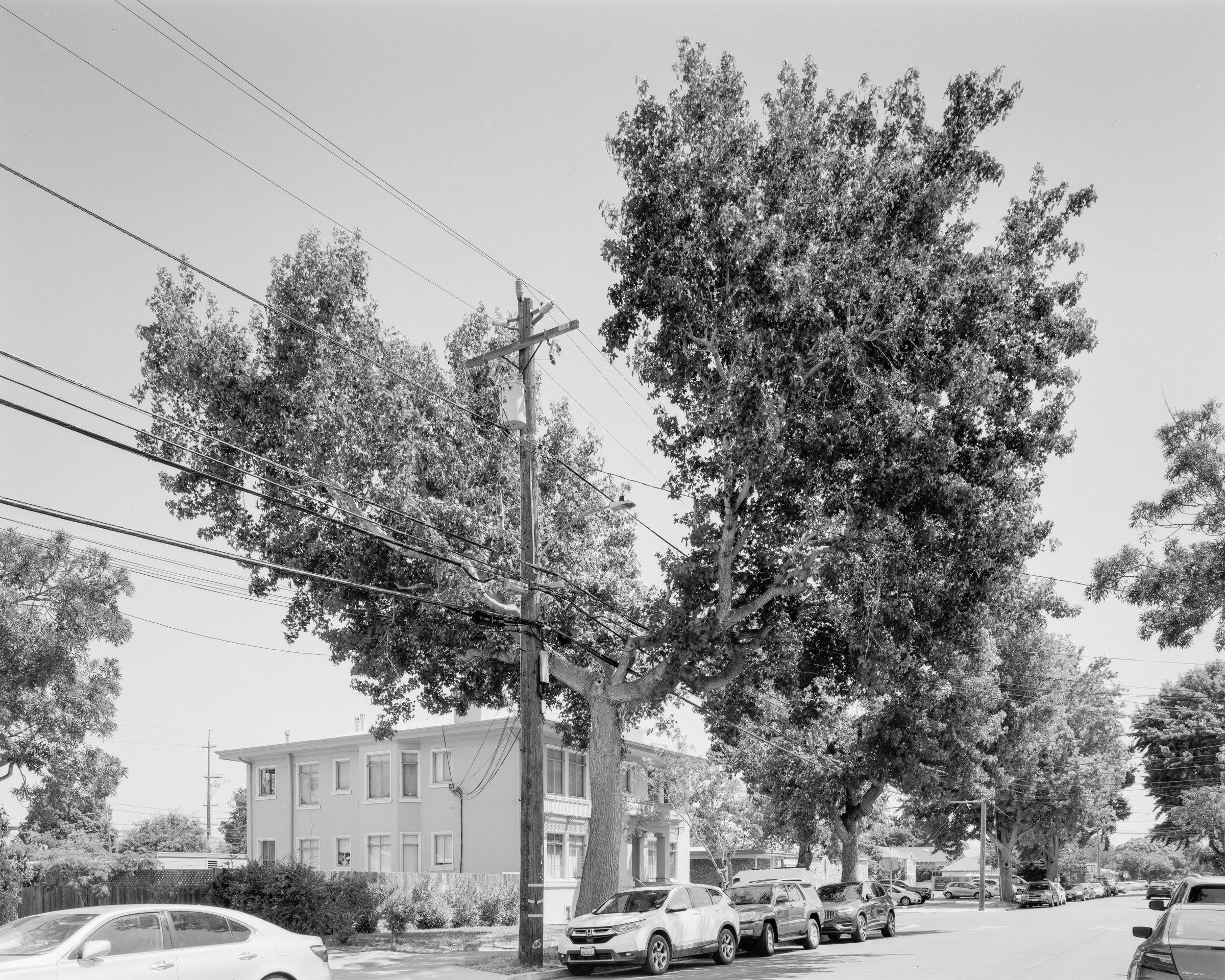 Alameda, CA No. 198