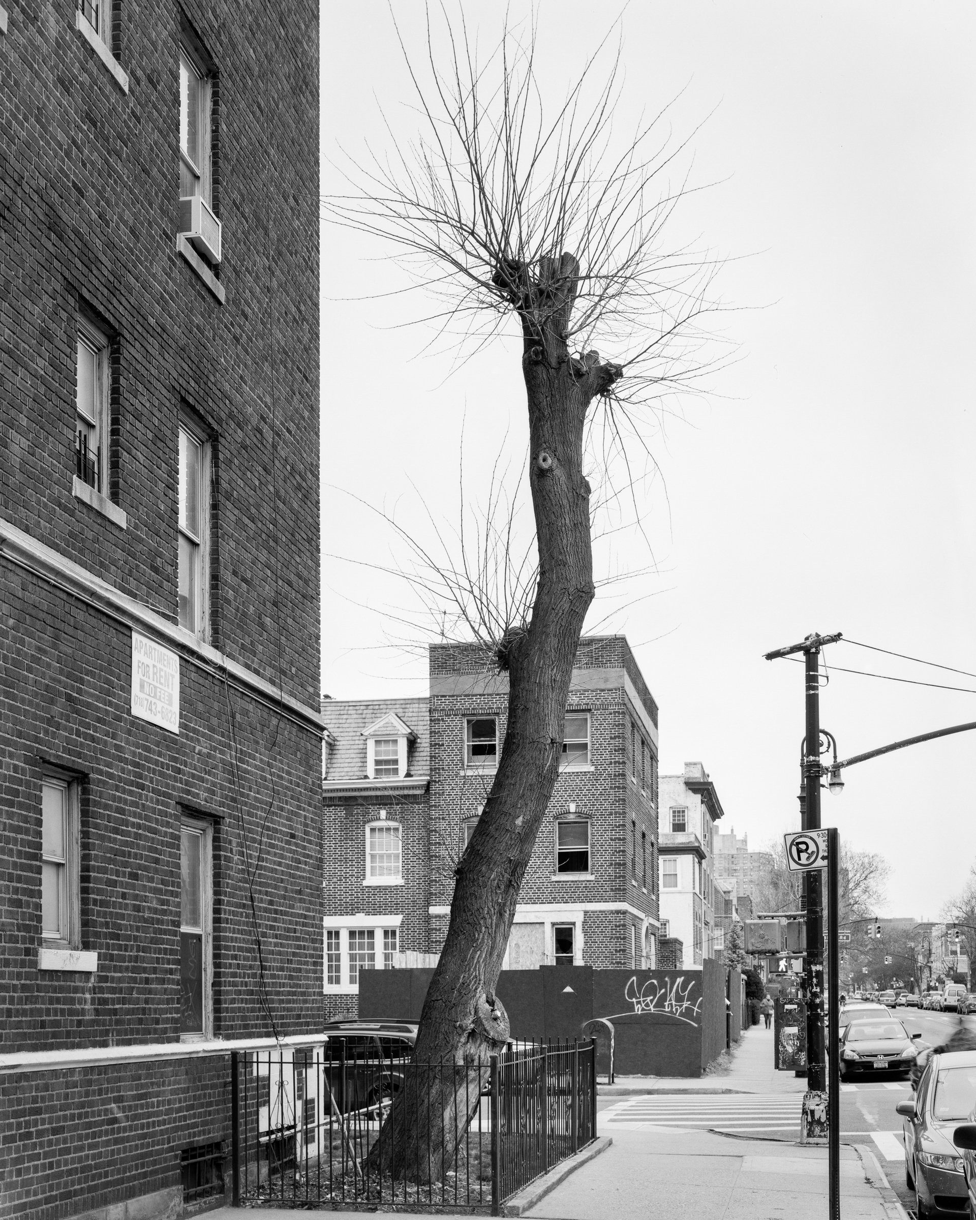 Brooklyn, NY No. 019