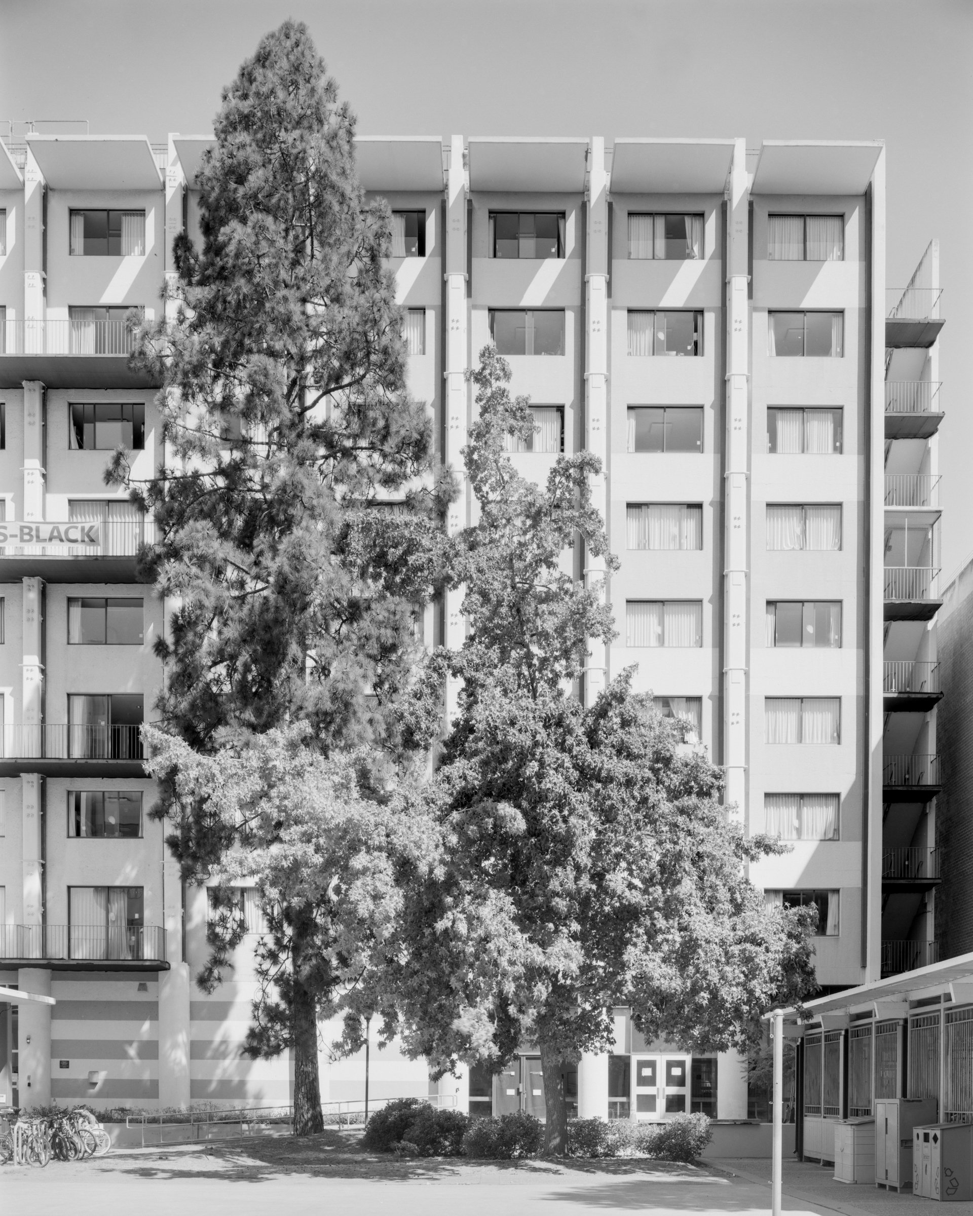 Berkeley, CA No. 007