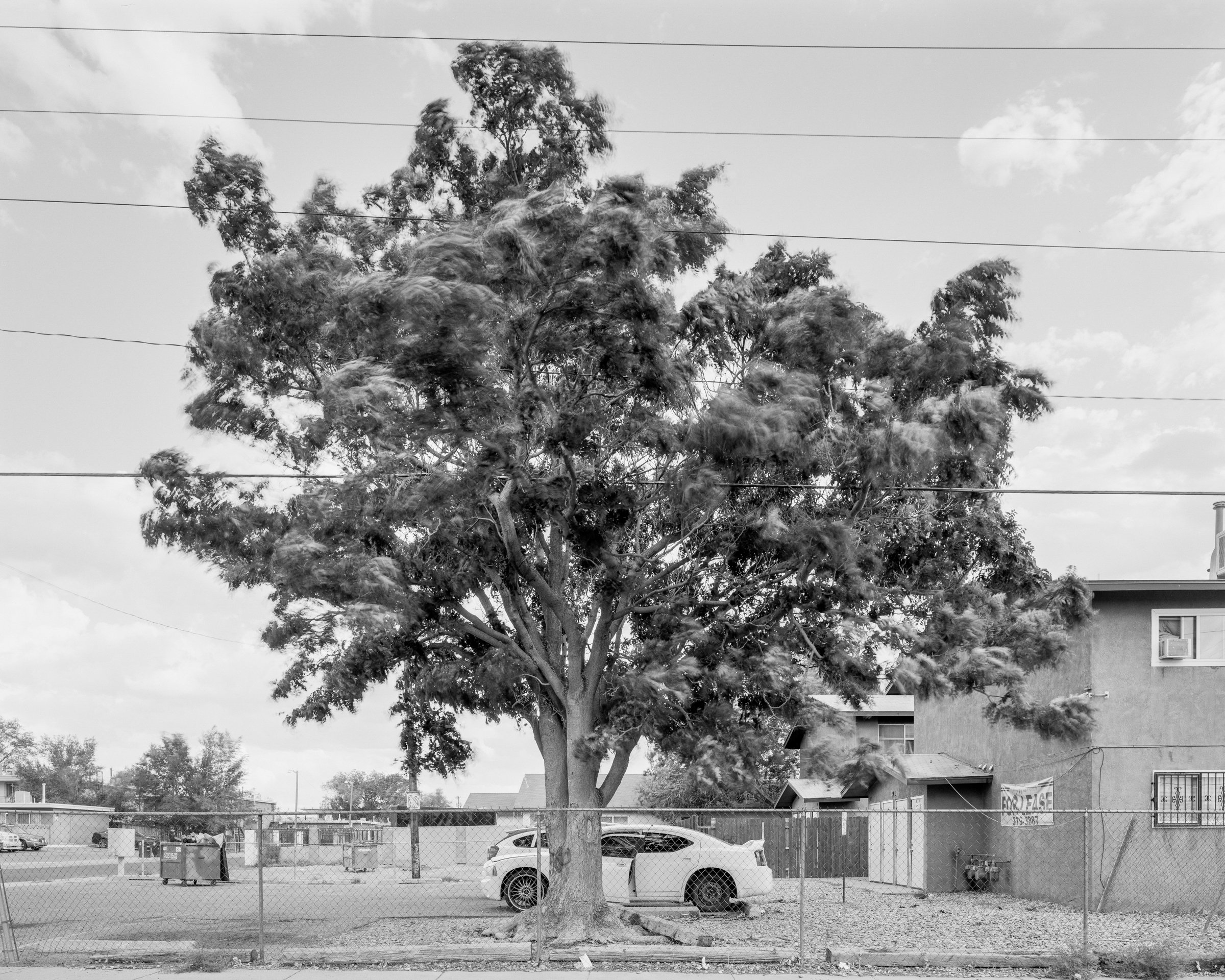 Albuquerque, NM No. 044