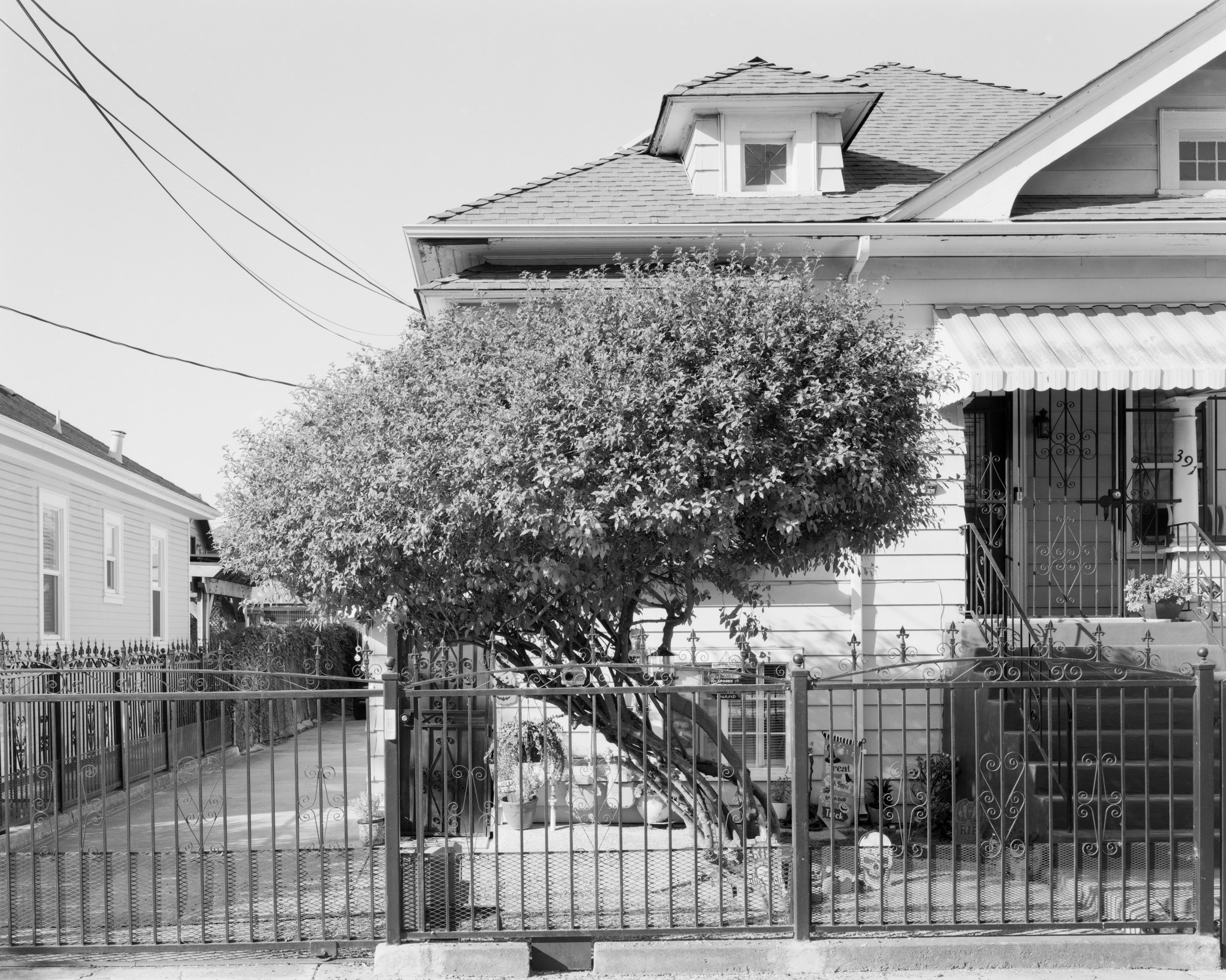 San Jose, CA No. 022