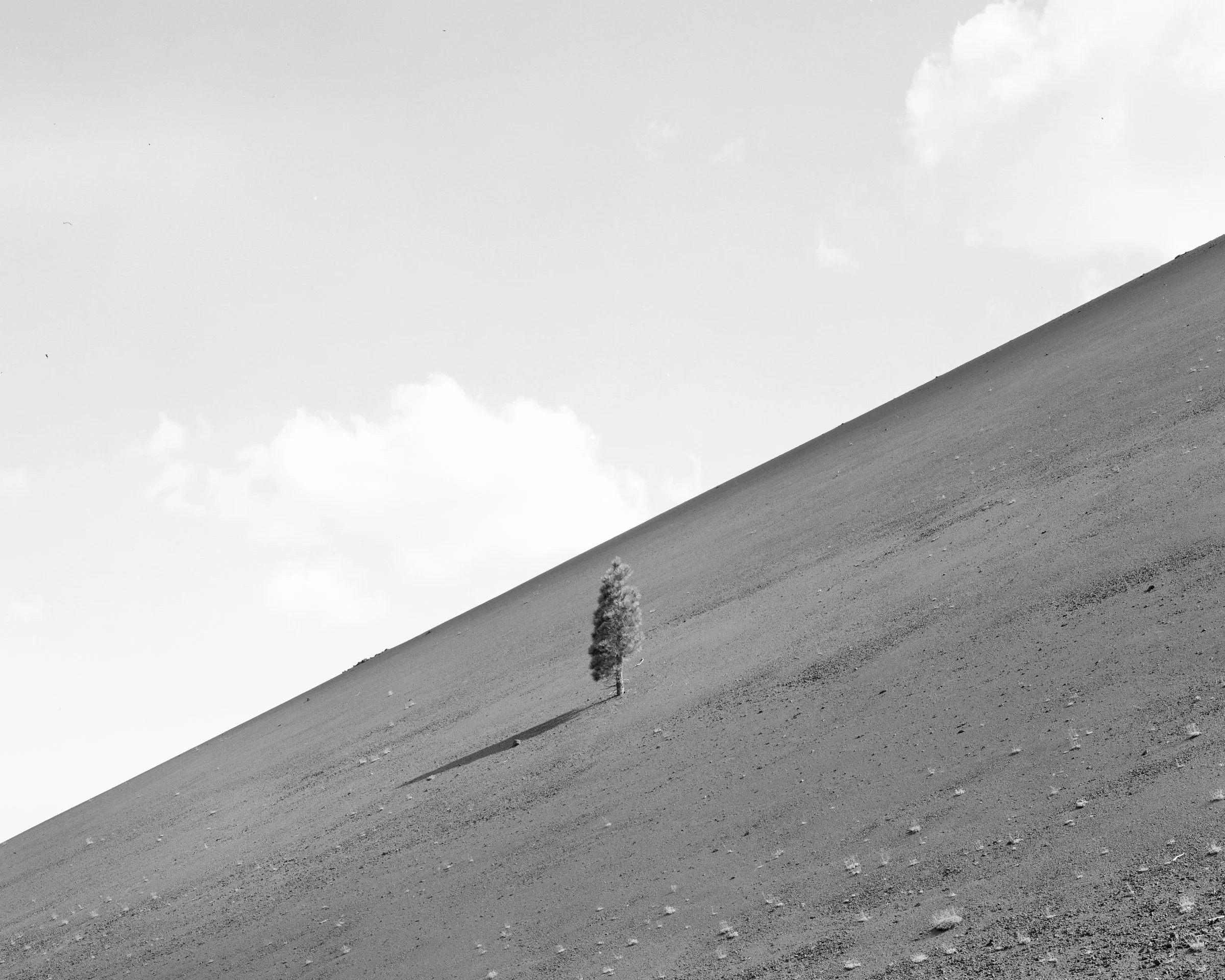 Lassen_2023_100.jpg