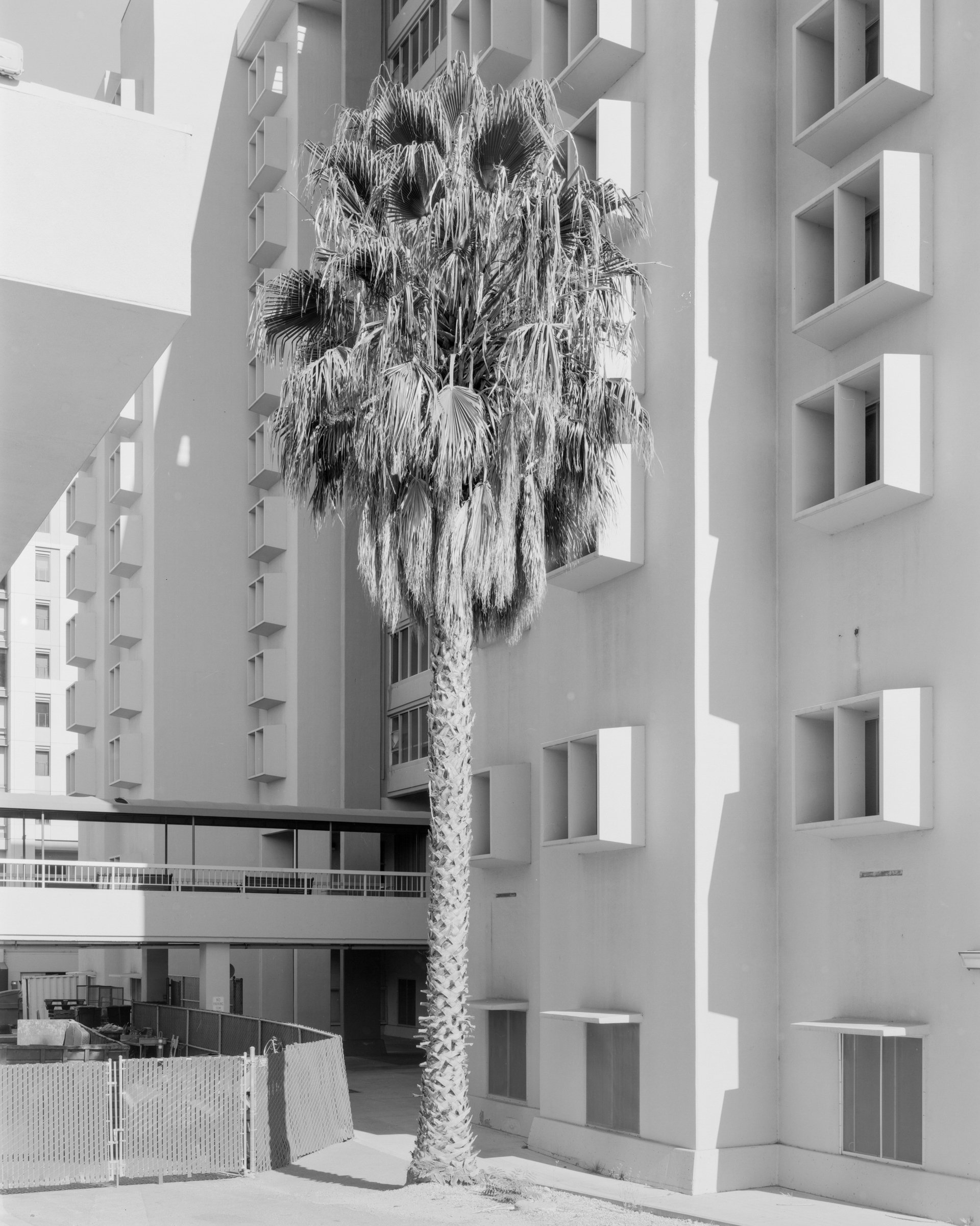 San Jose, CA No. 032