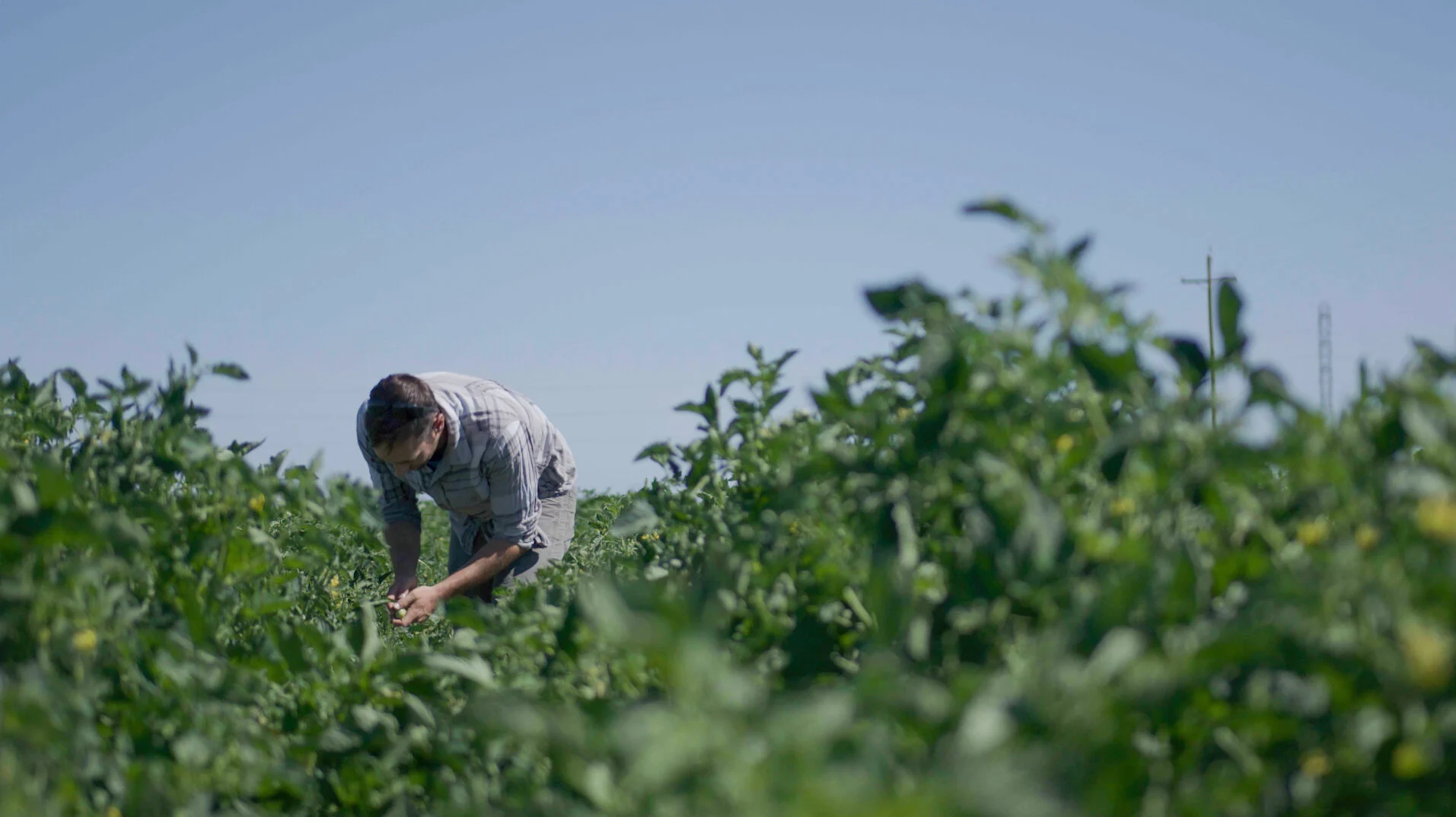 Screen Shot 2021-09-23 at 10.43.08 AM.jpg