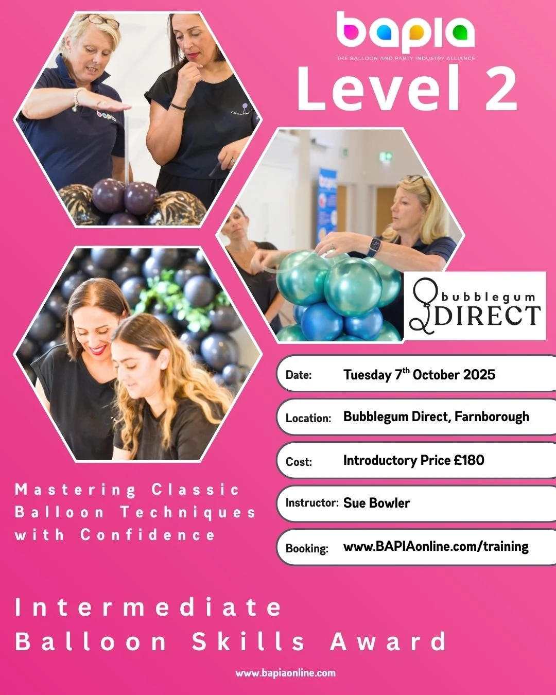 BAPIA Level Two - Intermediate Balloon Skills Award - Farnborough, Hampshire