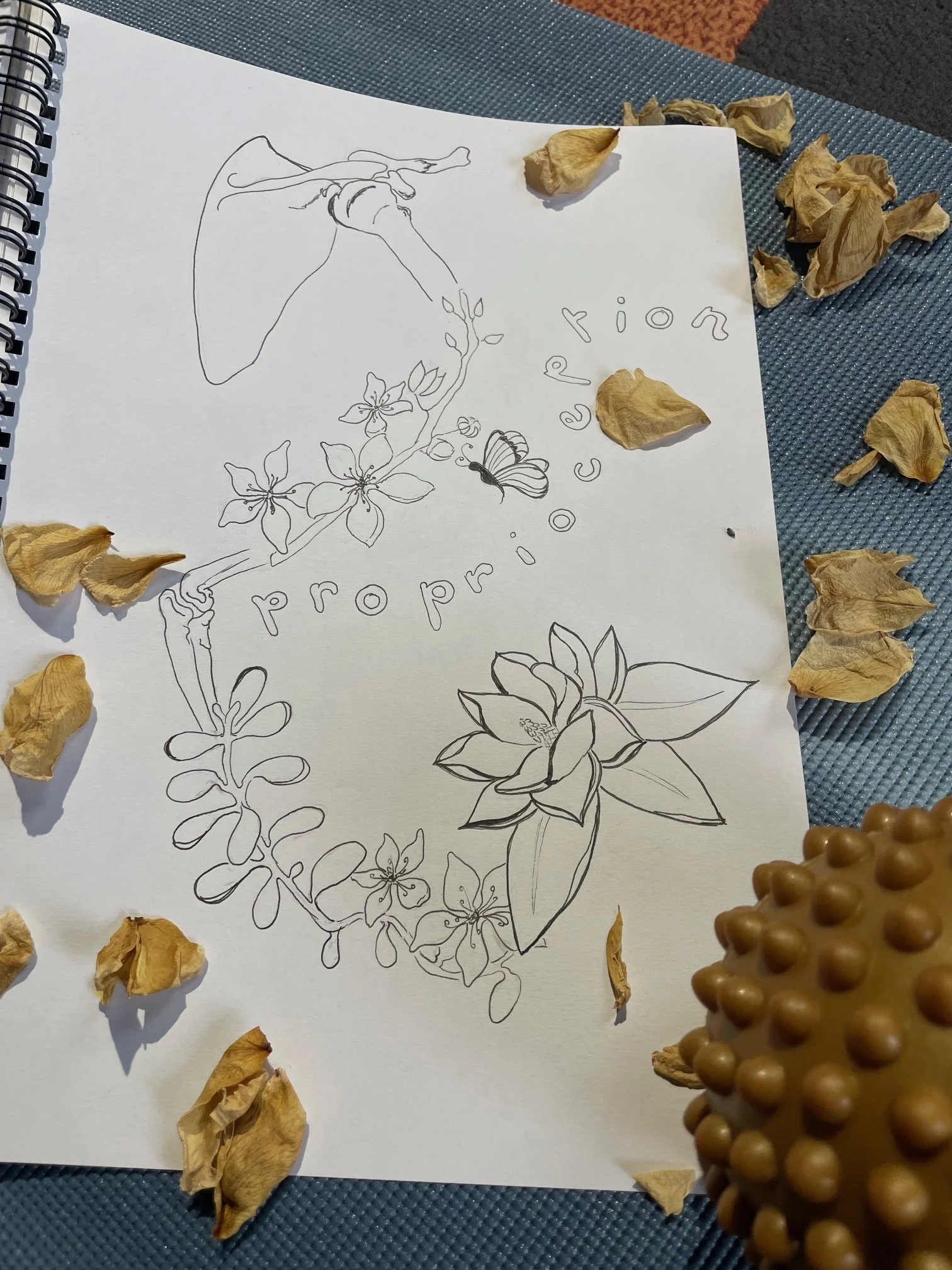 Taking a Blindfold off our Proprioception. 