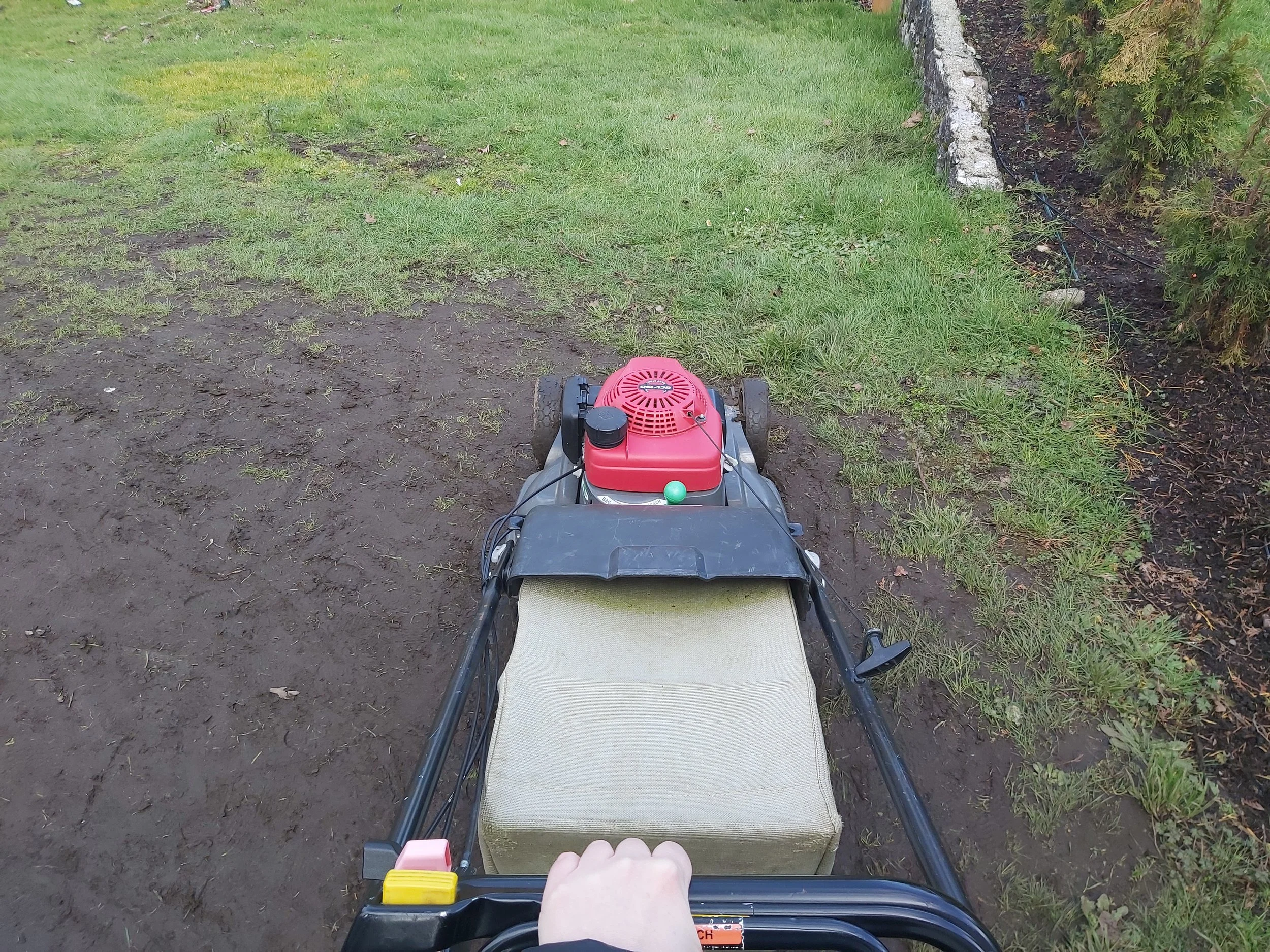 I thought I was the one supporting him…