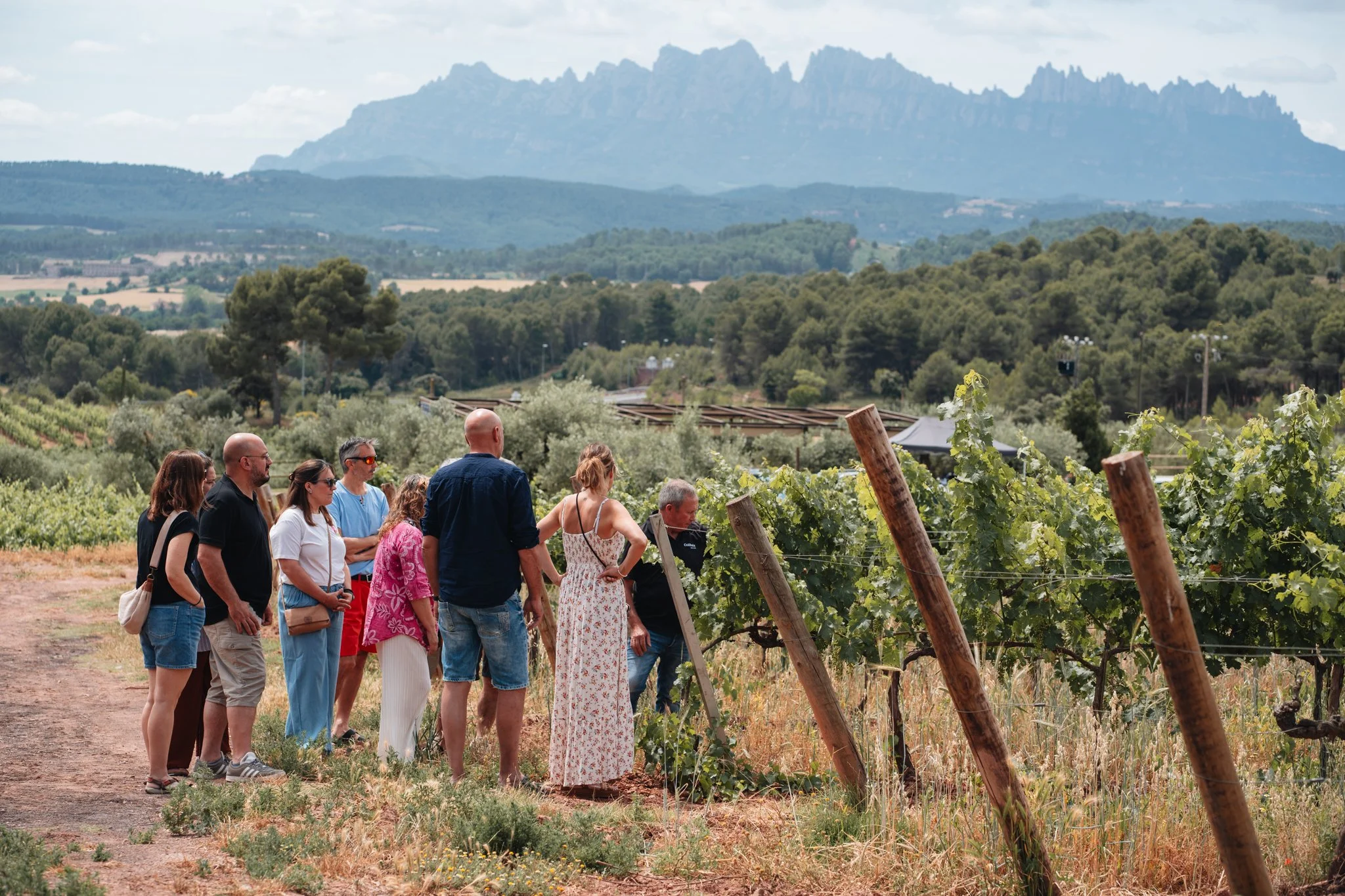 Group of people walking through a vineyard with mountains in the background.