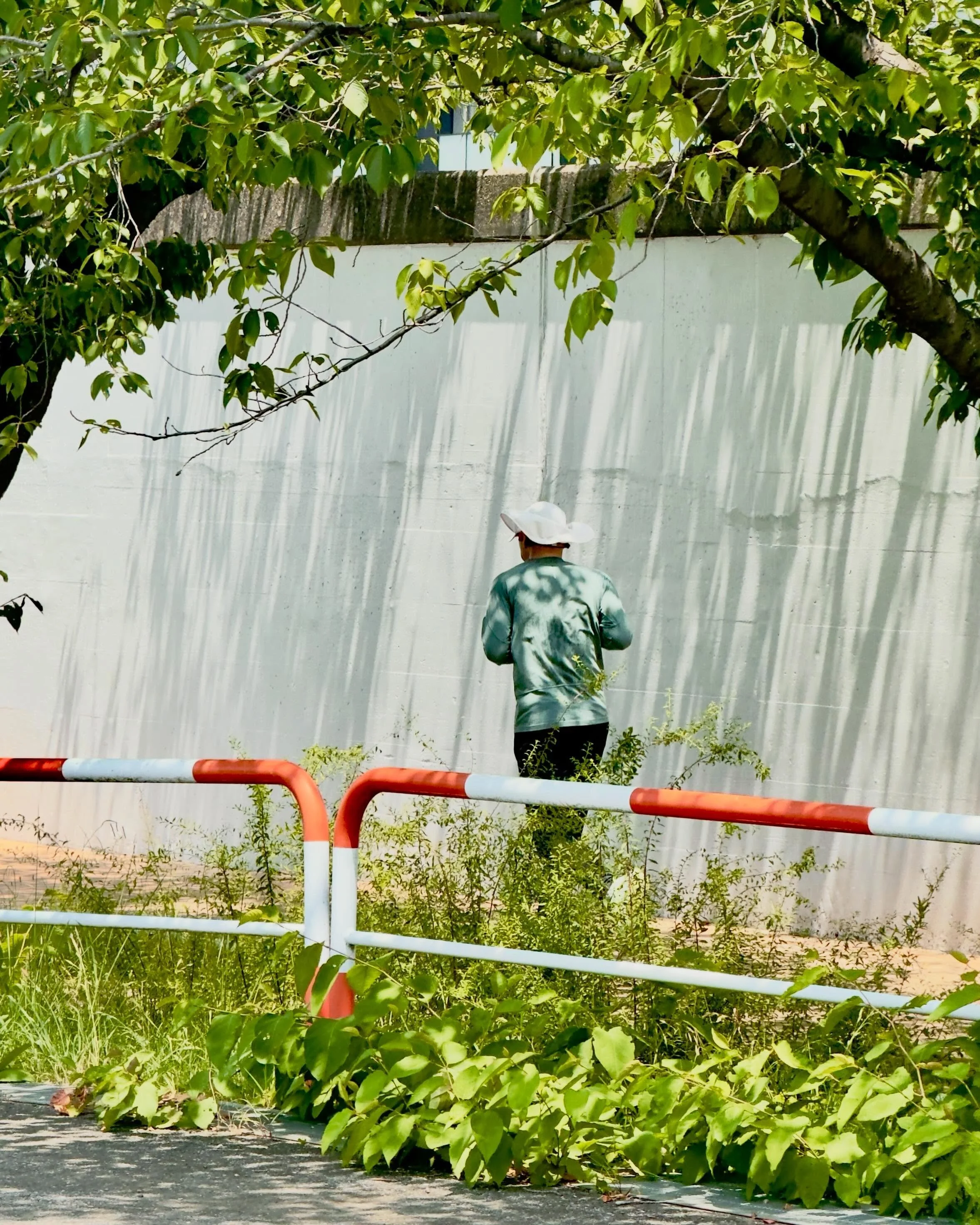 Cicadas wither, Summer rusts
蝉枯れぬる、夏錆びぬる