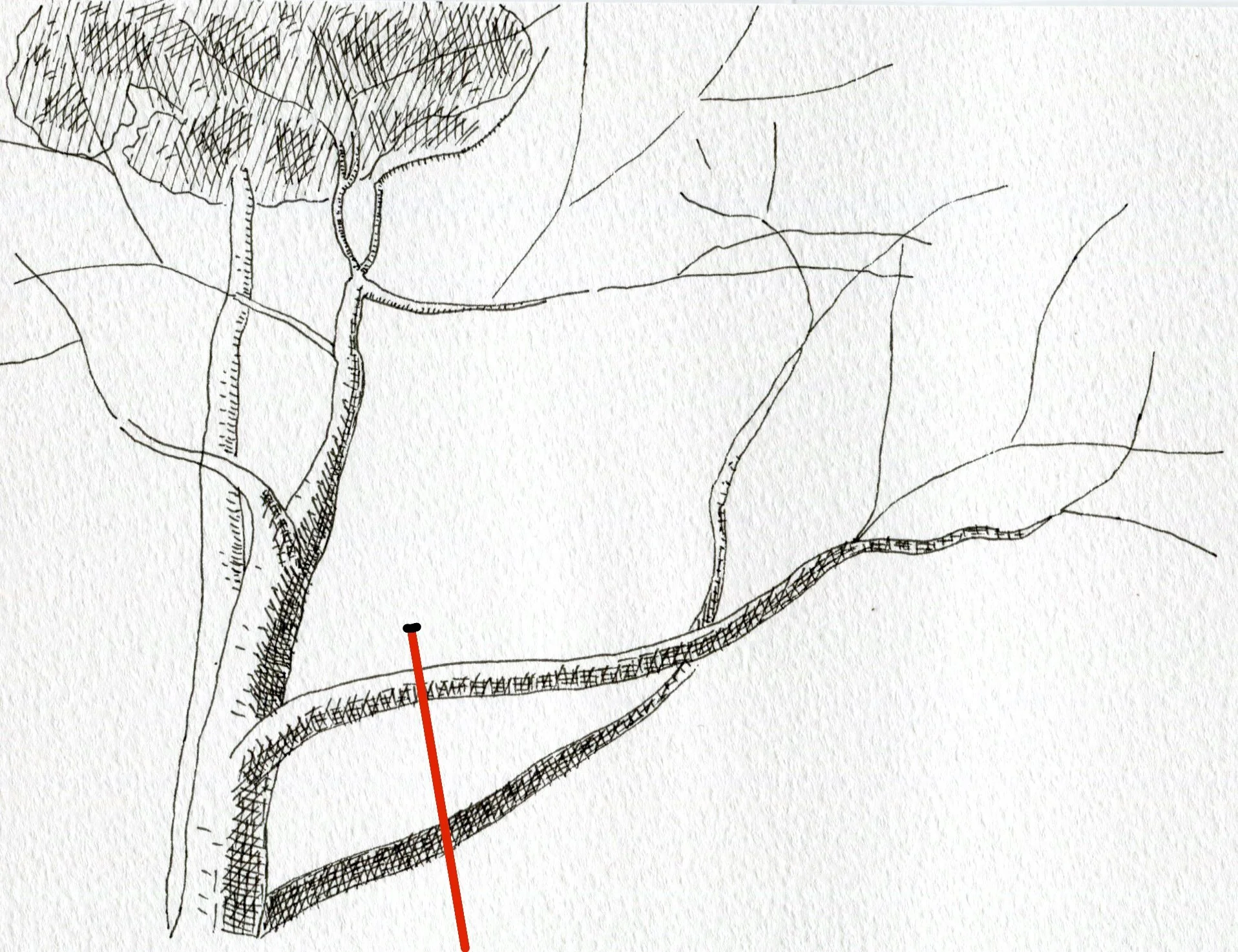 20. Retrieve the Ring and Ring and MAIN LINE from the tree.