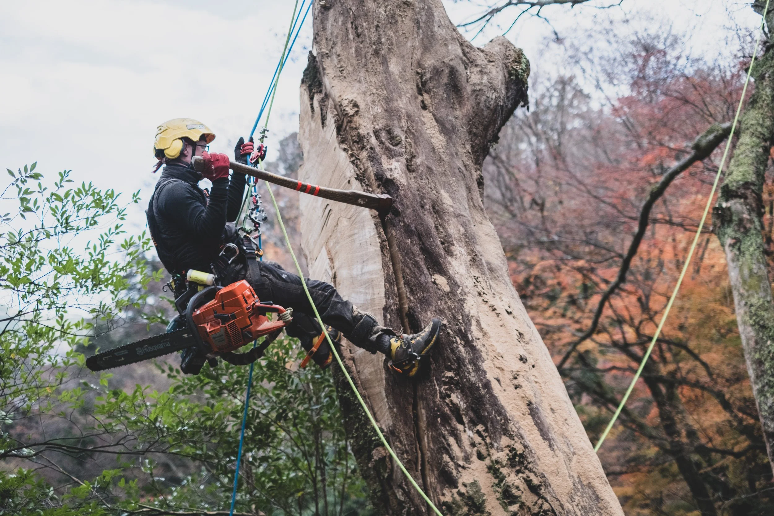 REFLEX Mechanical Hitch