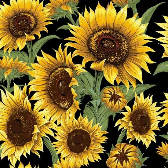 sunflowers nutex.jpg