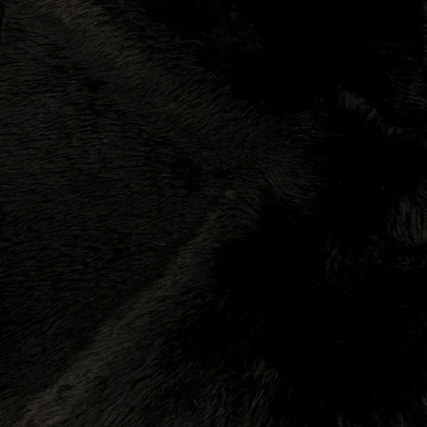 black fur.webp