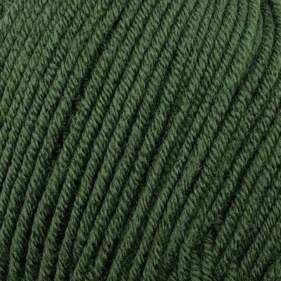 bambino fierce fern.jpg