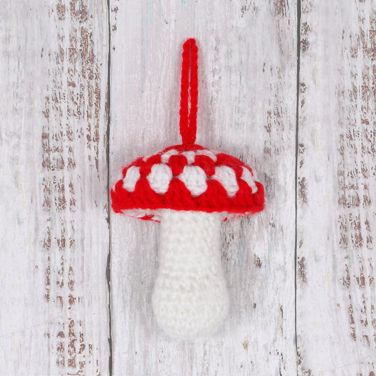 TCRK006 crochet kit 2.jpg