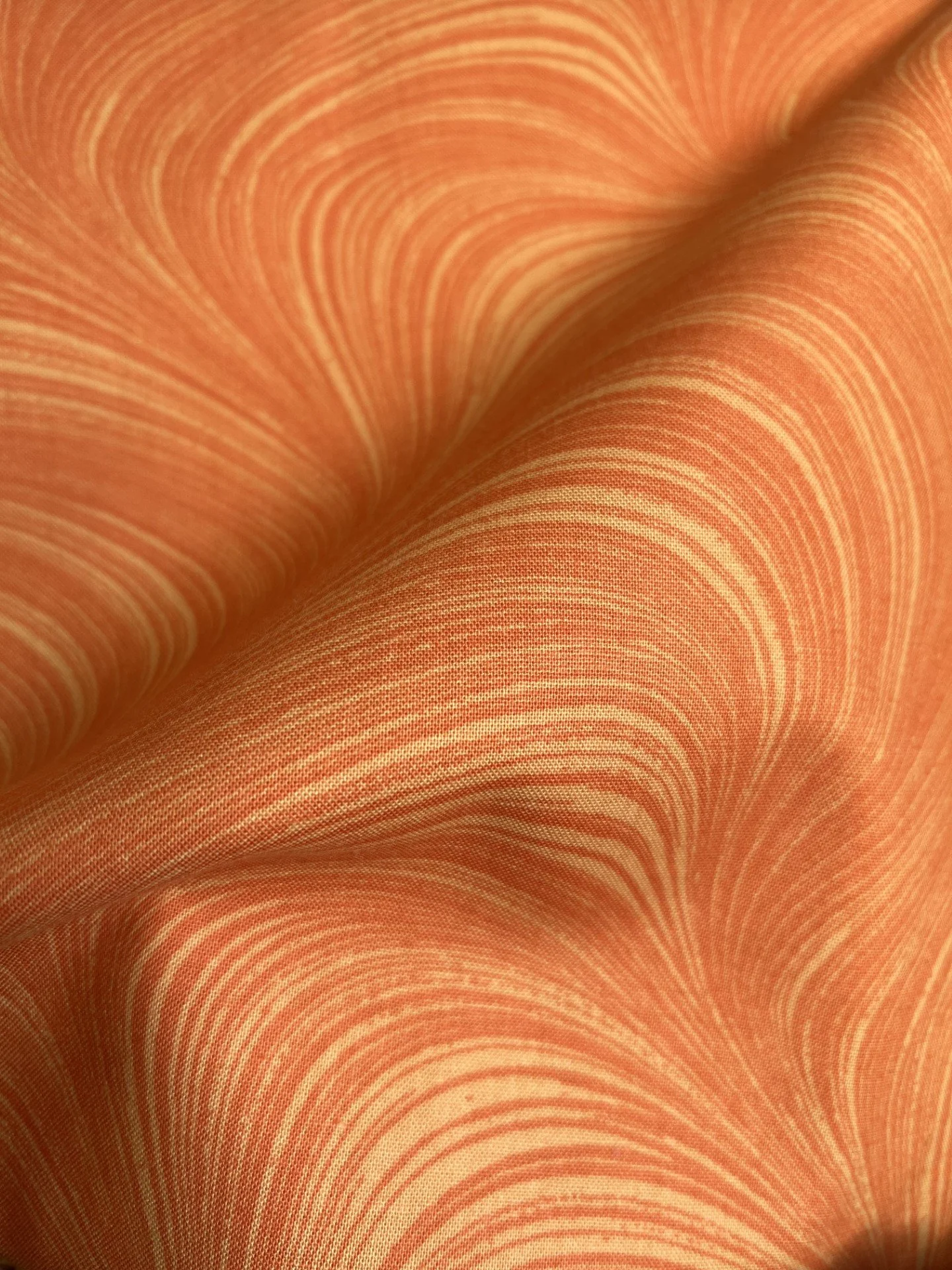 orange textured orange.jpg