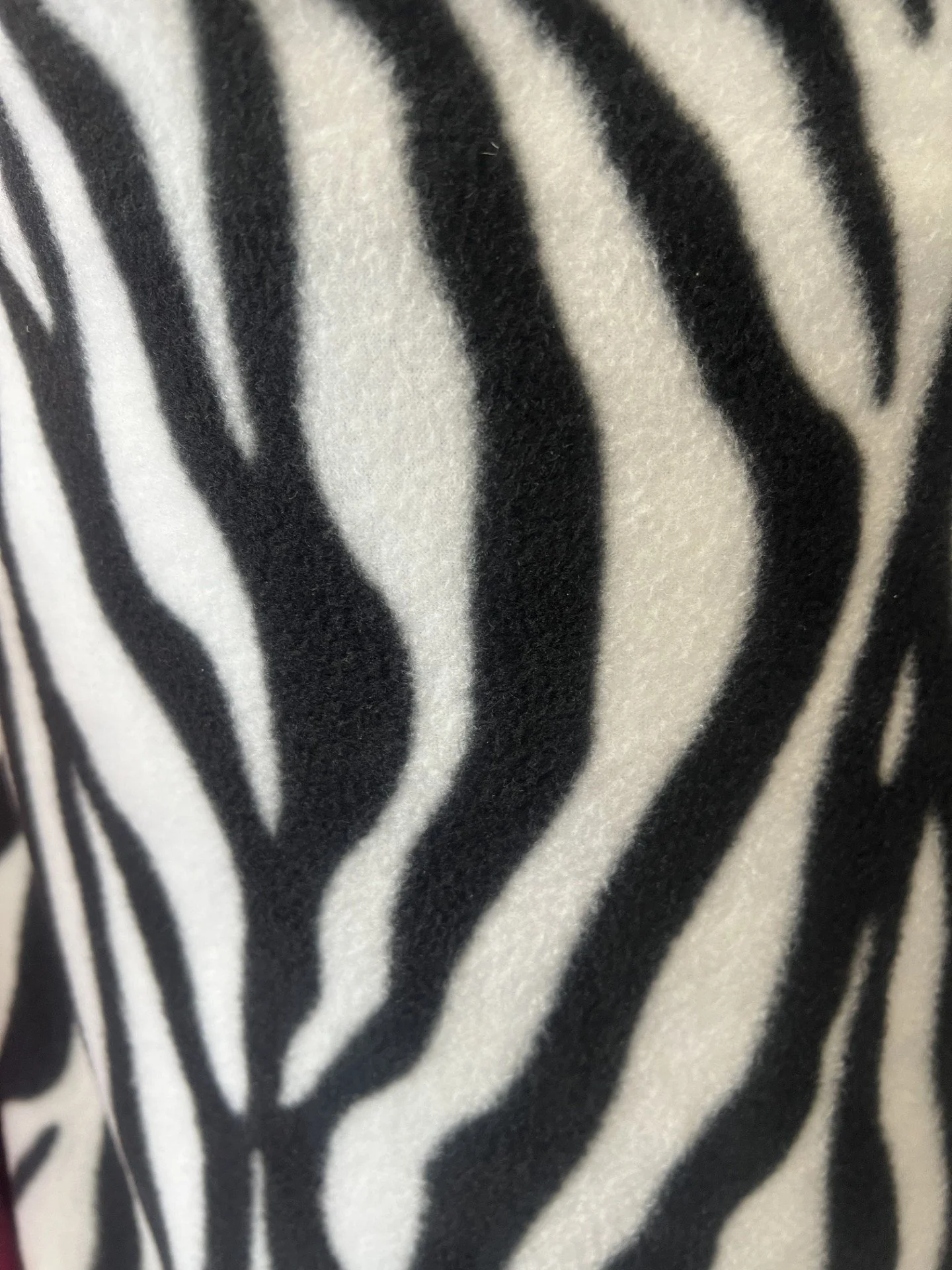 animal print.jpg