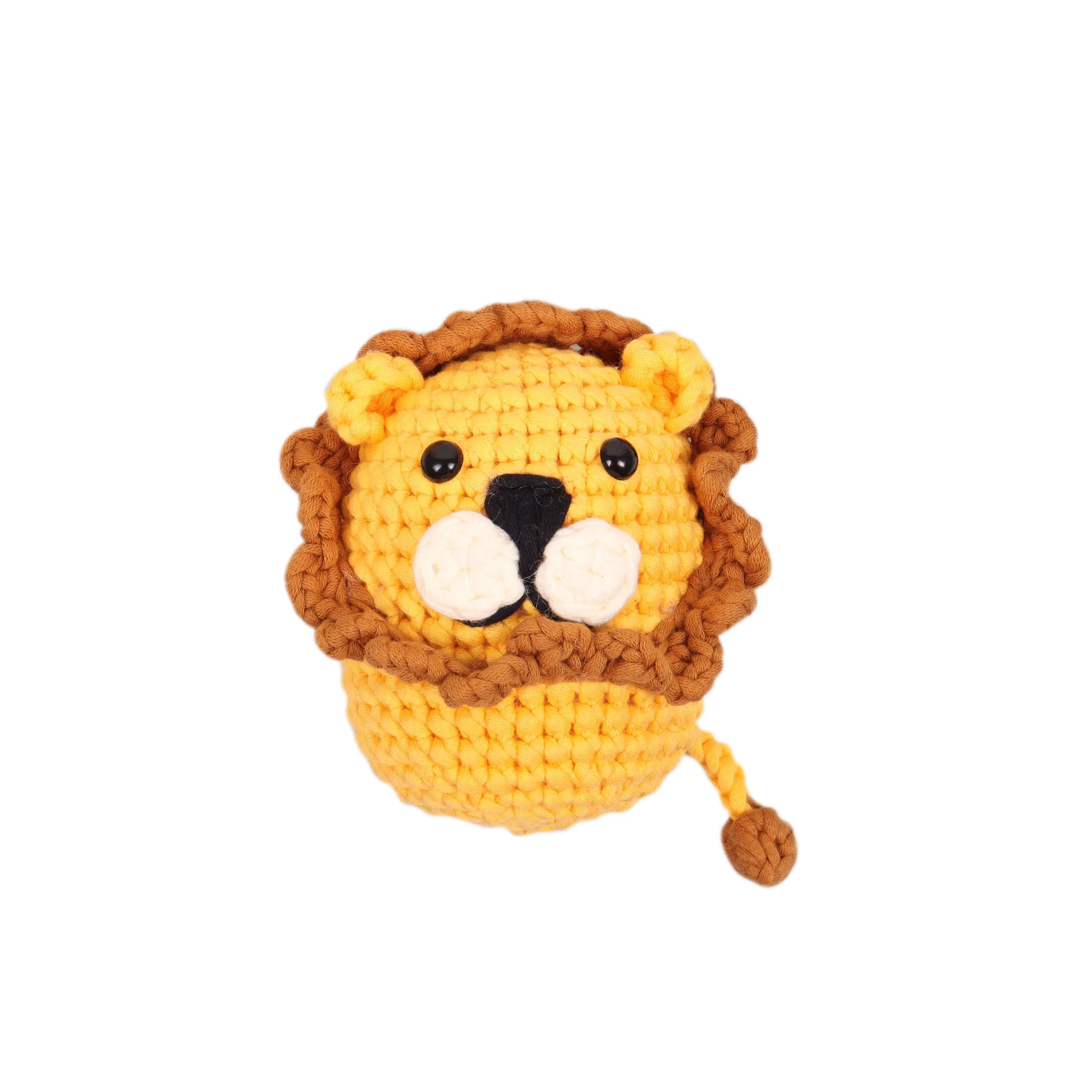 TCRK019 crochet kit 1.jpg
