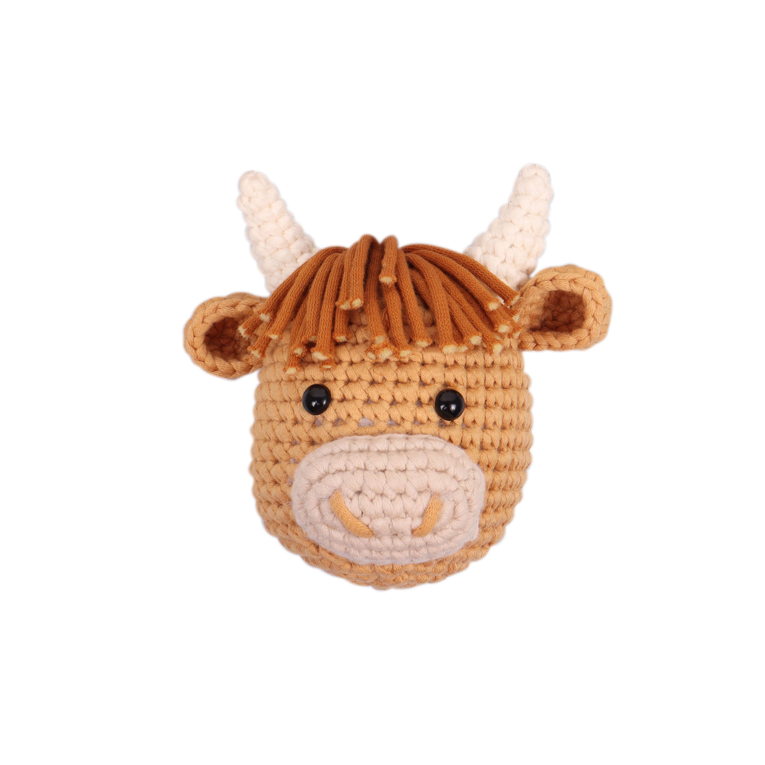 TCRK017 crochet kit 1.jpg