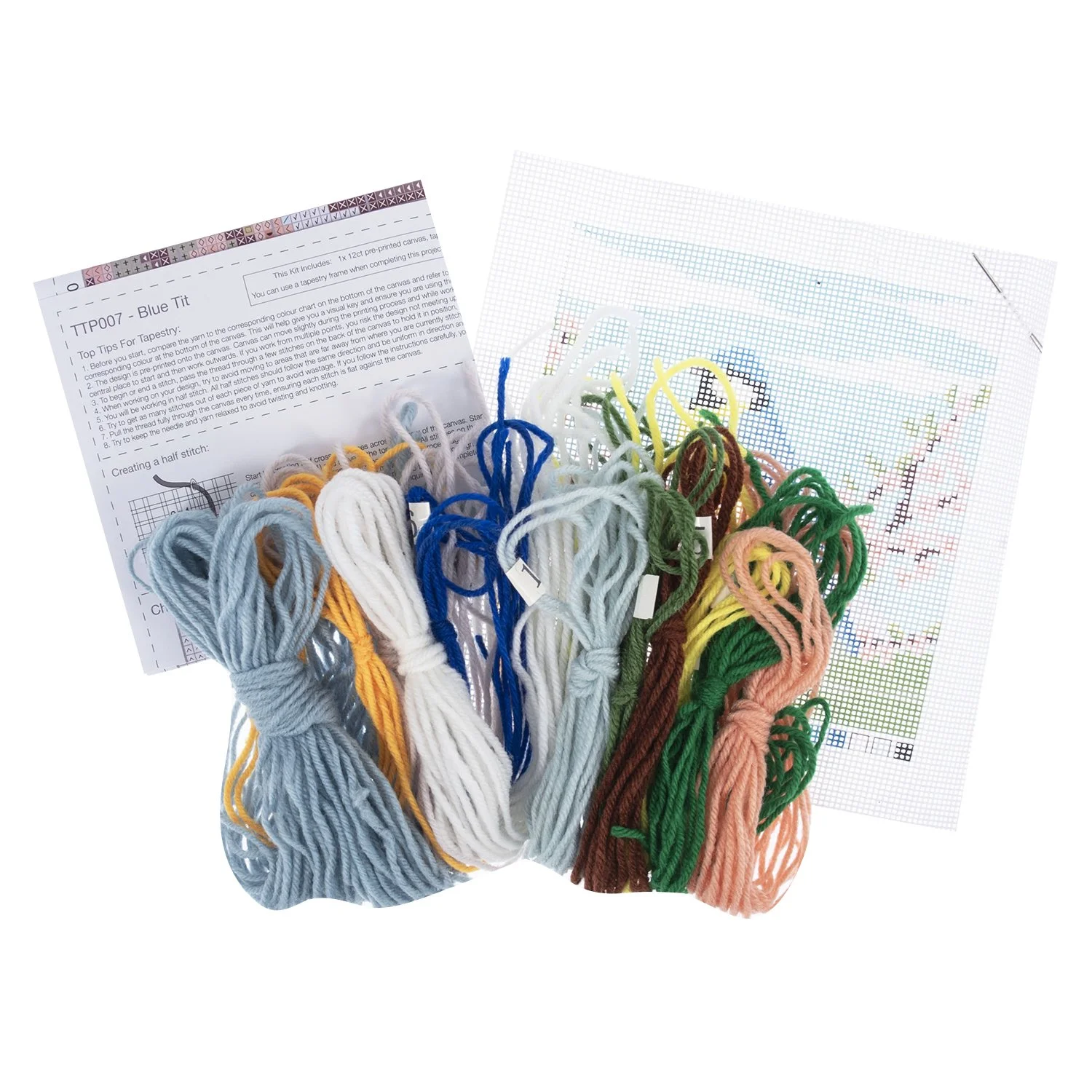 TTP007 tapestry kit 1.jpg