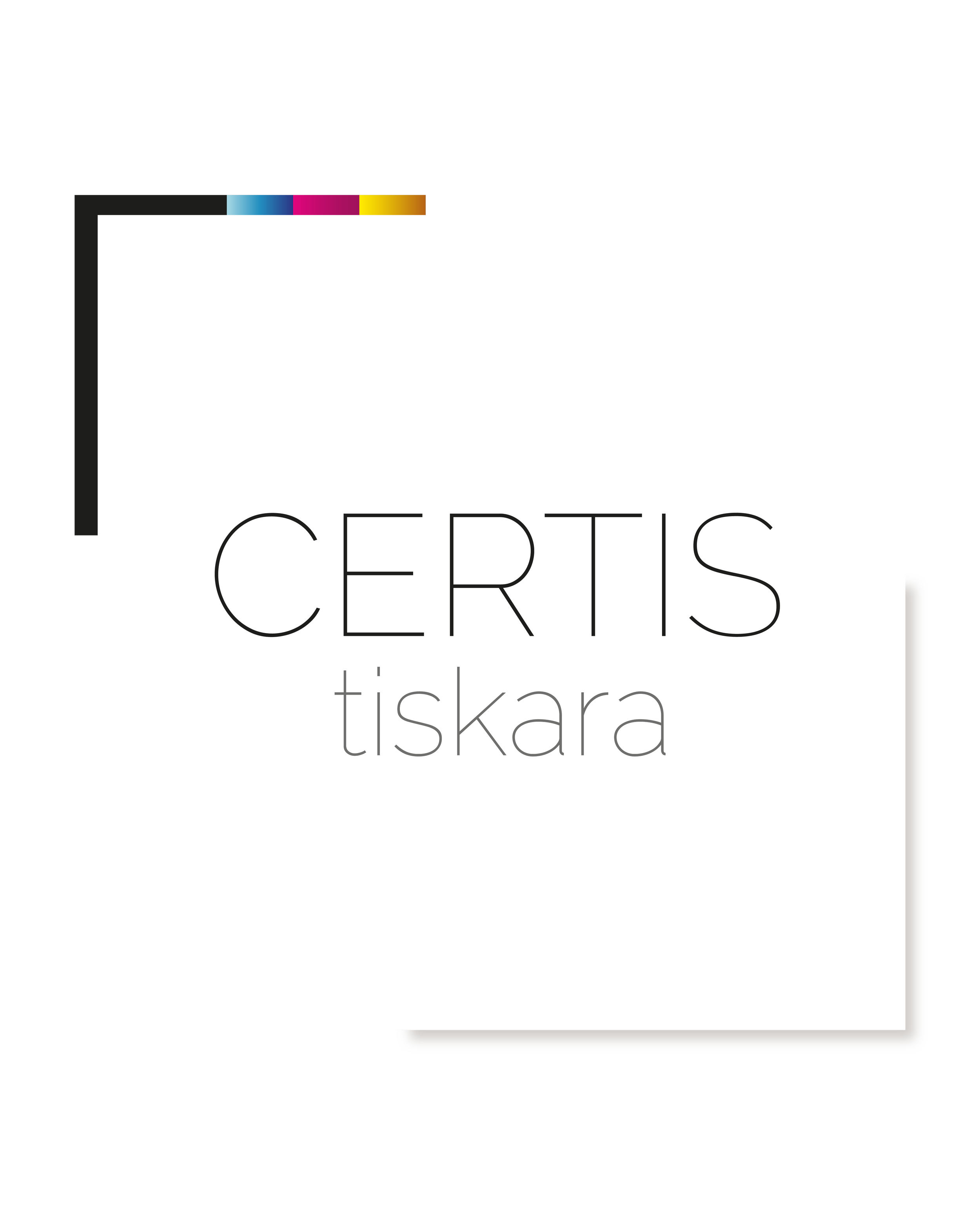 Logo; Vizualni identitet; Društvene mreže i grafički materijali za tiskaru Cartis / Visual identity and social media printing house