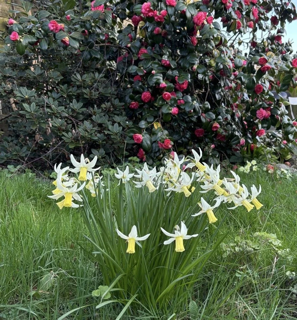 Are you ready to spring into spring?