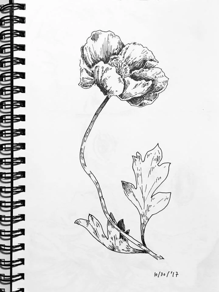 66197701_p16.jpg
