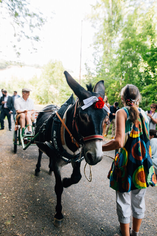 mariage-authentique-ambeyrac-aveyron