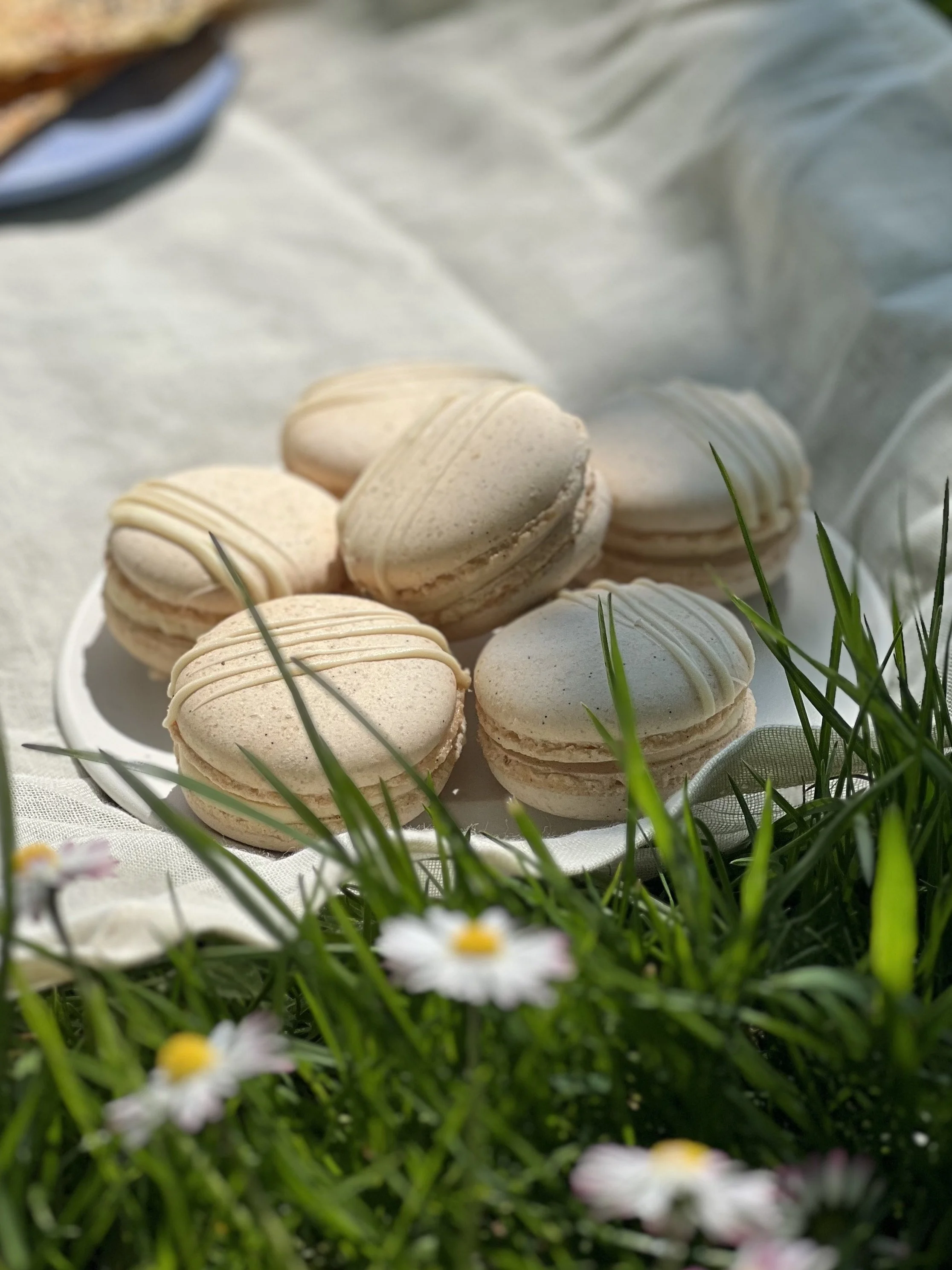 Husk macaroons at Thorington Theatre.jpeg