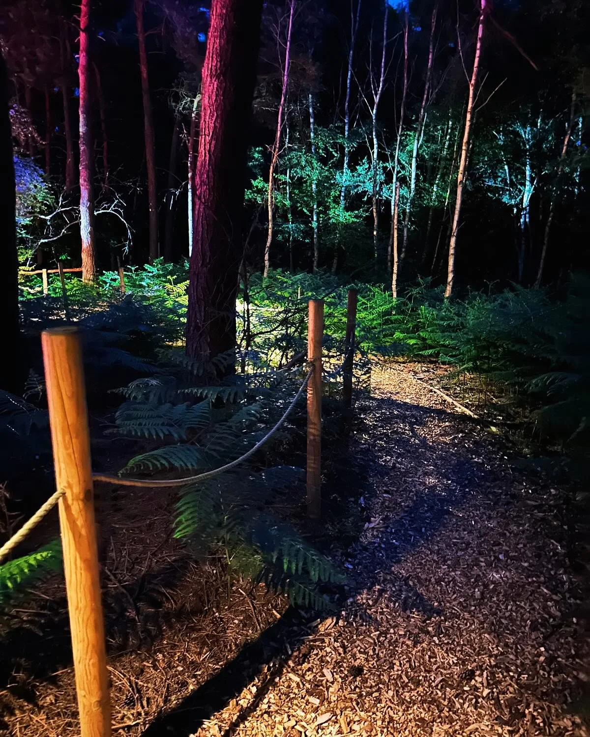 Some memories of a fantastic season at Thorington Theatre!
#thoringtontheatre #thoringtontheatreinthewoods #thoringtontheatre2025season #suffolktheatre #theatreinthewoods