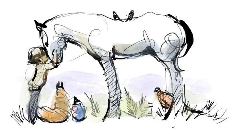 Charlie Mackesy: Drawings and Stories in aid of Dunwich Heath Restoration (2.30pm)