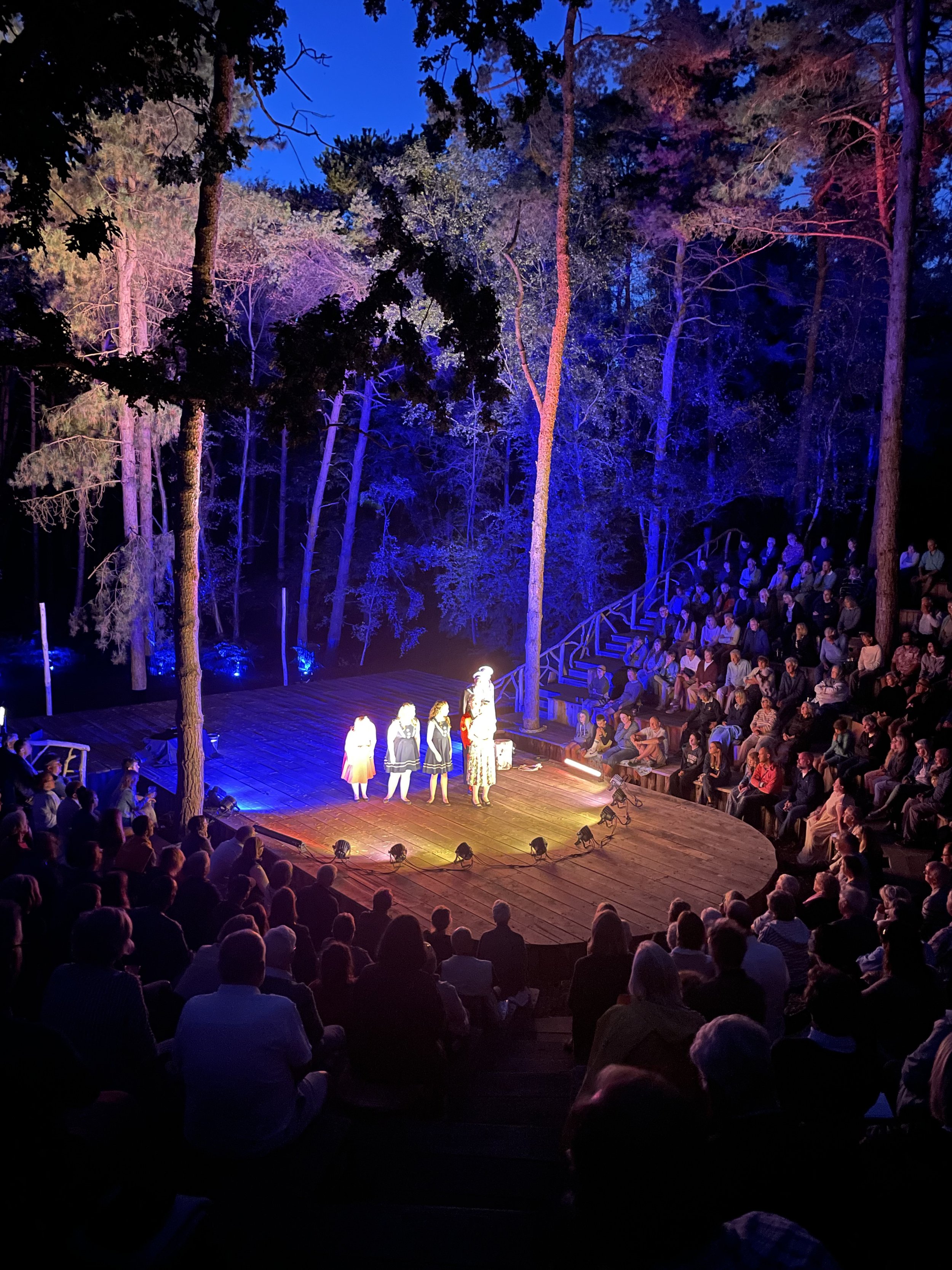 Magic in the dark wooods