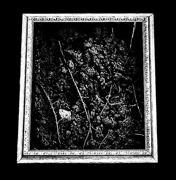  Satiety  
 Of Nurturance  
Role: Record, Mix
