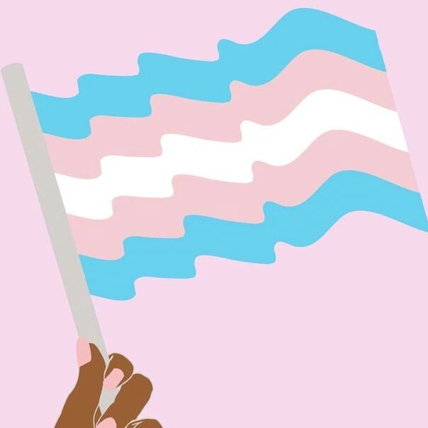 Today is international Transgender Visibility Day. To all of those in the transgender community, we love and support you forever. 💖🏳️&zwj;⚧️

CREDIT Carme Parramon

#transsupport