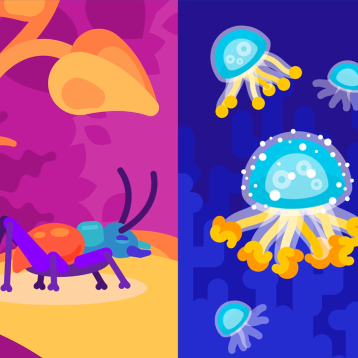 2D Animation