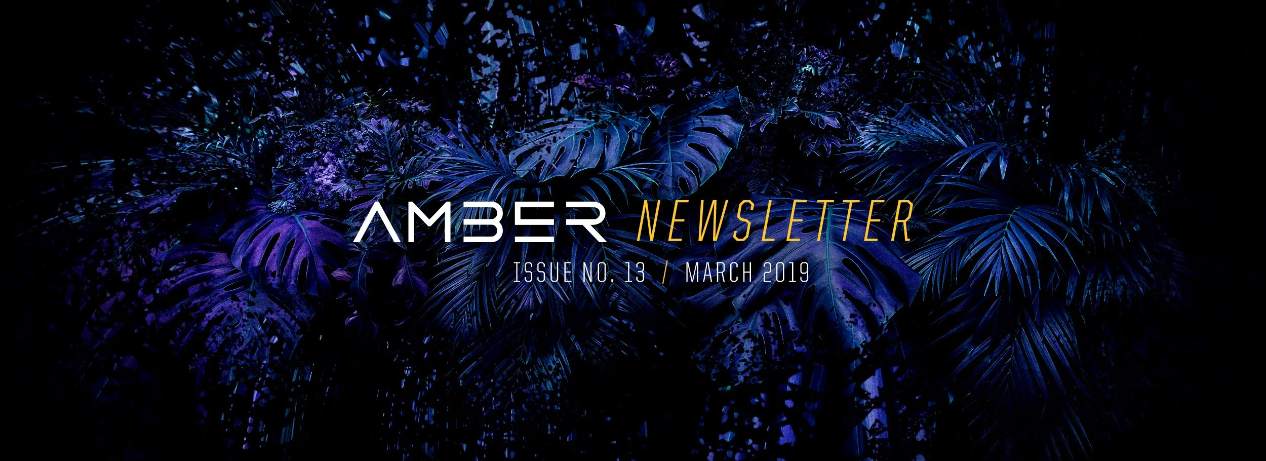 Amber-Newsletter-nr13-Mar-2019.jpg
