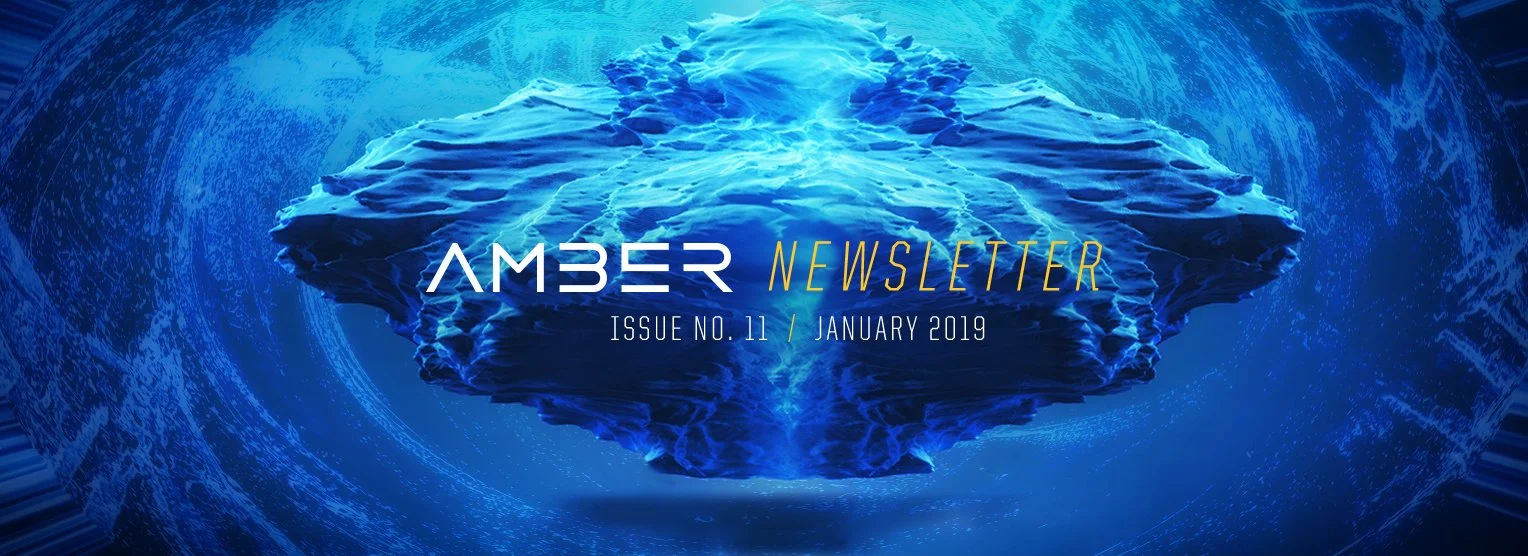 Amber-Newsletter-nr11-Ian-2019.jpg